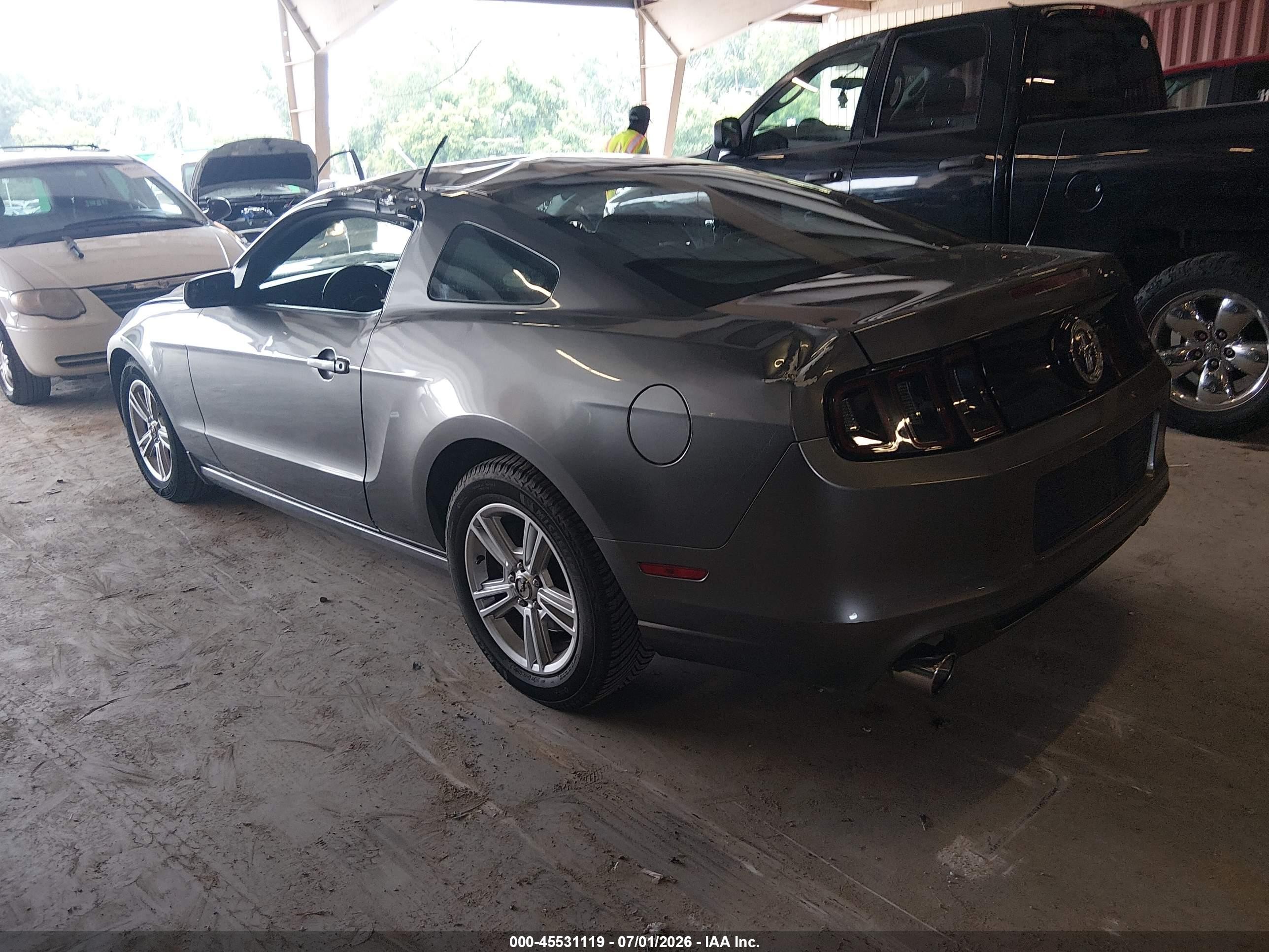 2014 Ford Mustang   Gray vin: 1ZVBP8AM1E5330354