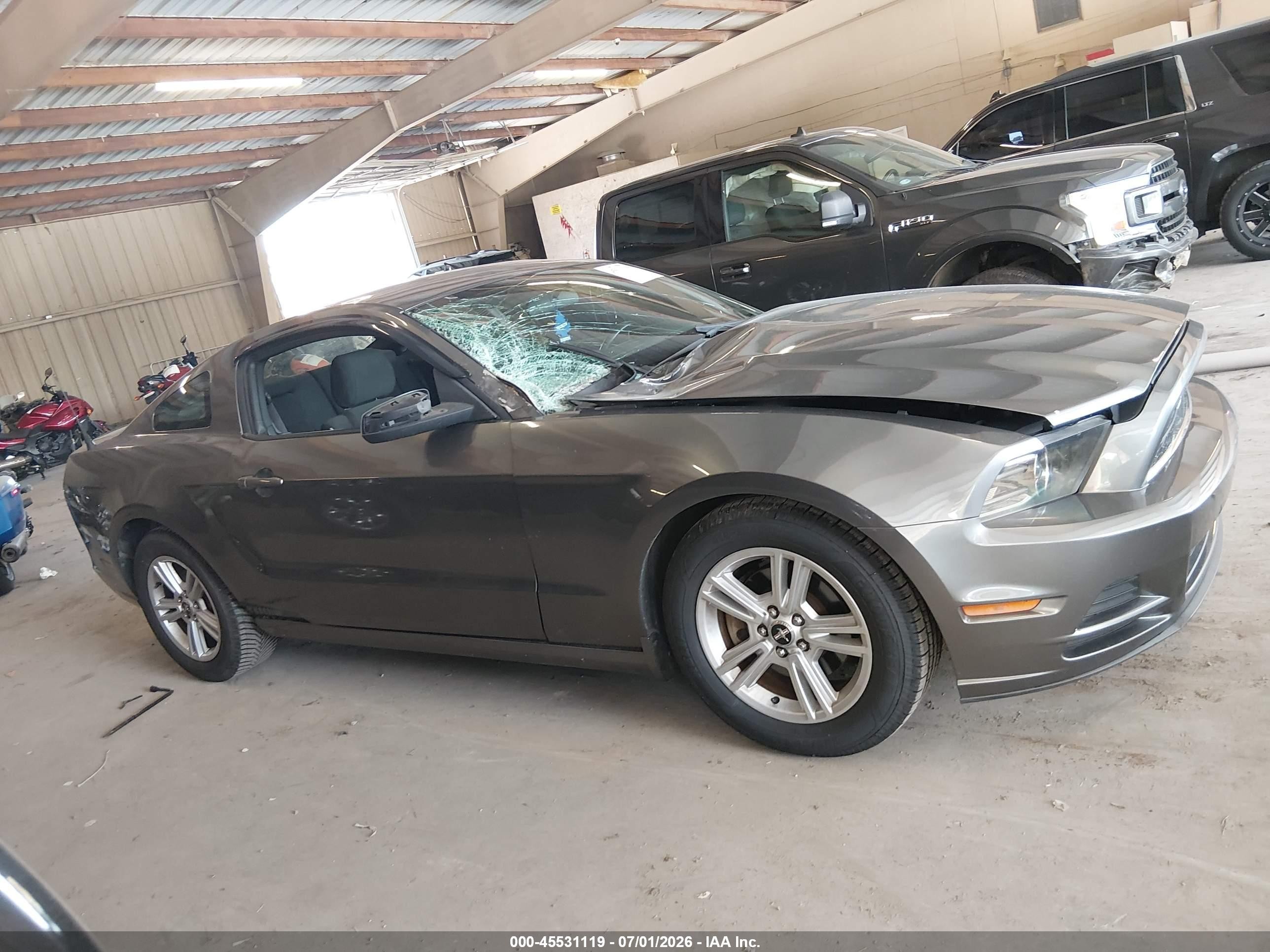2014 Ford Mustang   Gray vin: 1ZVBP8AM1E5330354