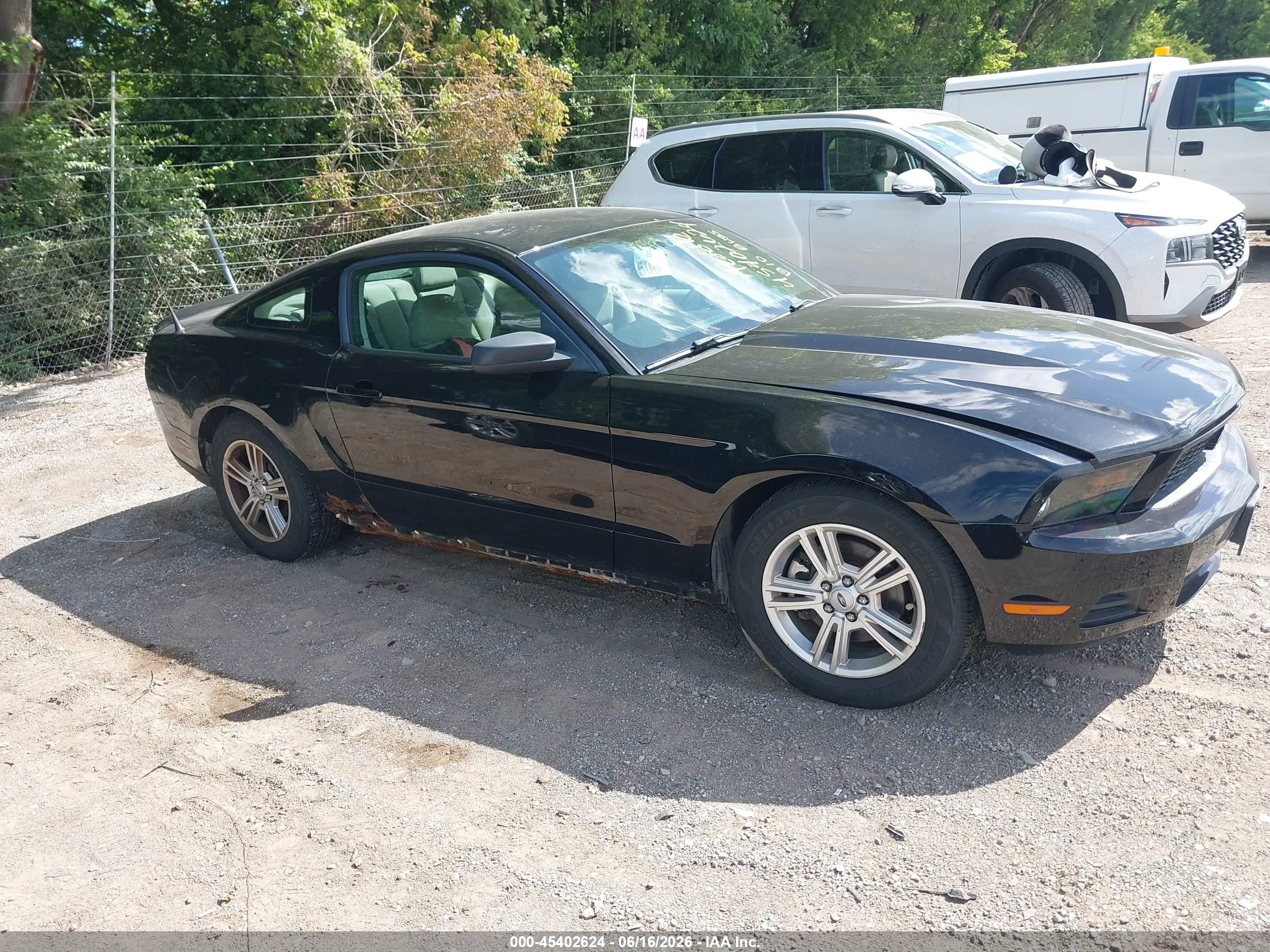 2011 Ford Mustang V6/v6 Premium Black vin: 1ZVBP8AM2B5157181