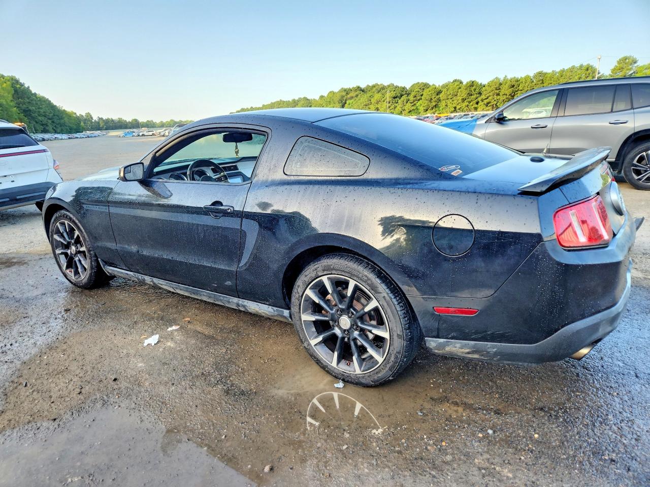 2011 Ford Mustang Black vin: 1ZVBP8AM2B5162798