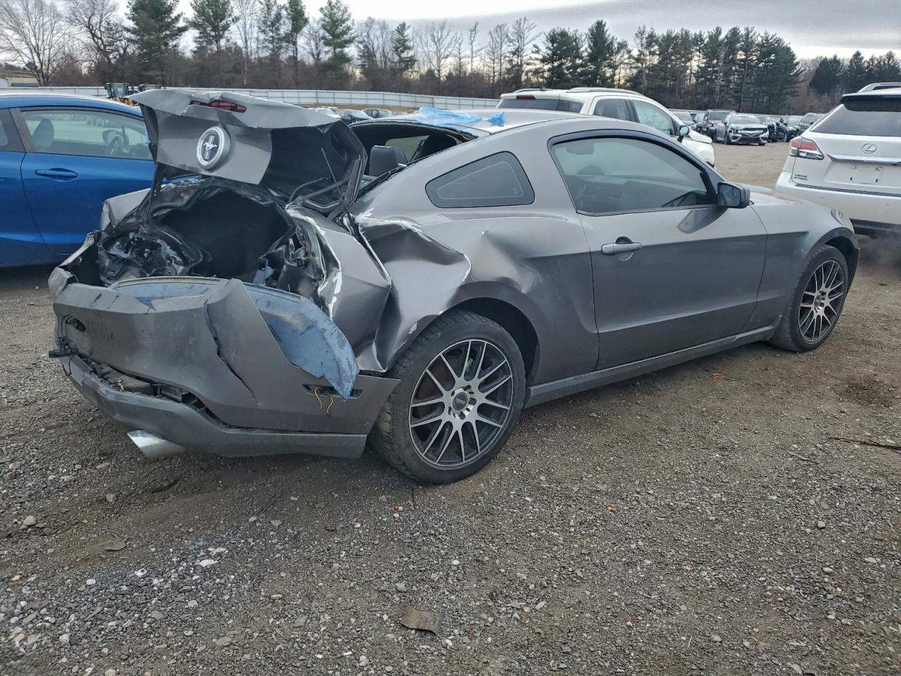 2011 Ford Mustang Gray vin: 1ZVBP8AM2B5166253