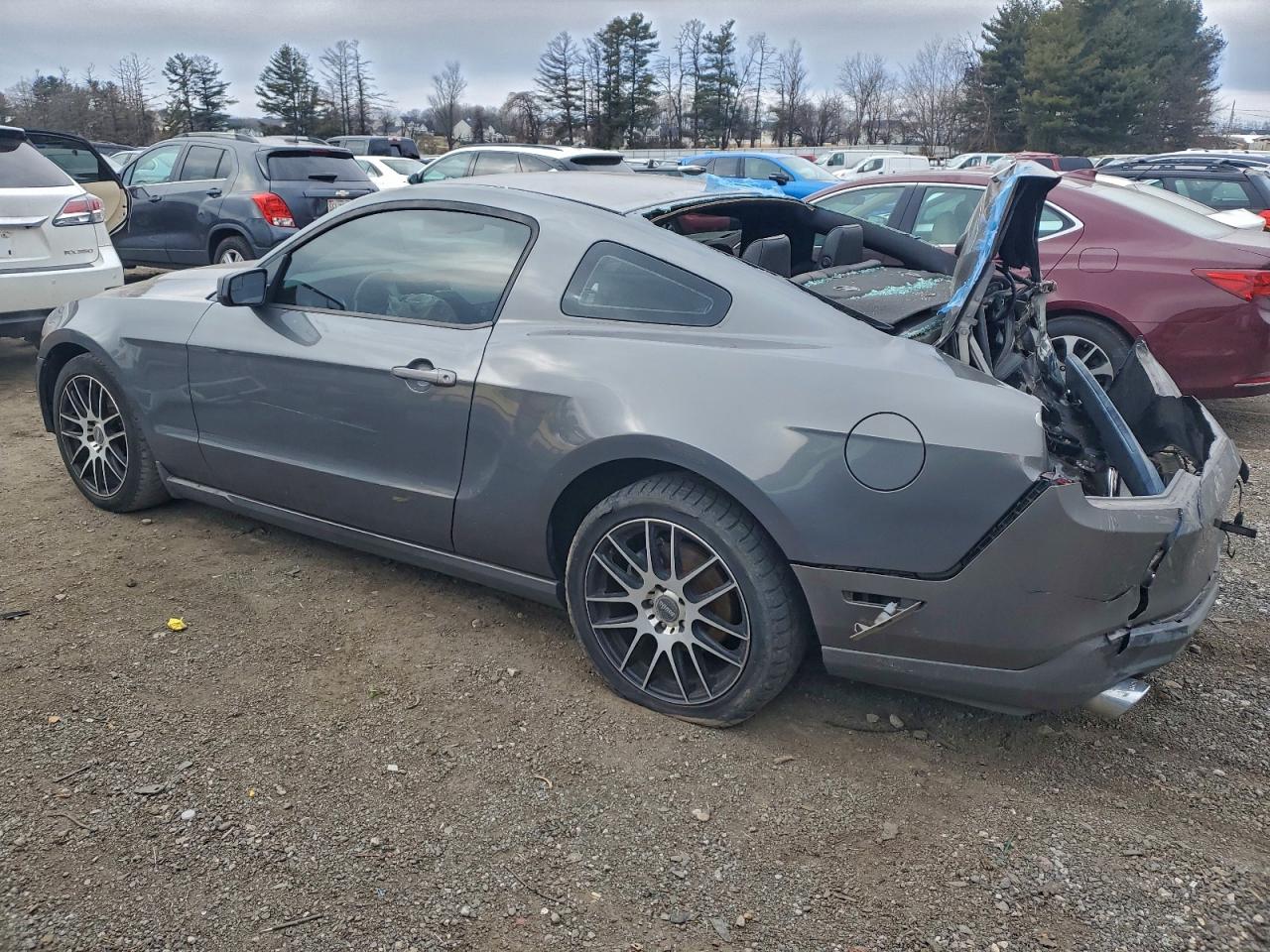 2011 Ford Mustang Gray vin: 1ZVBP8AM2B5166253