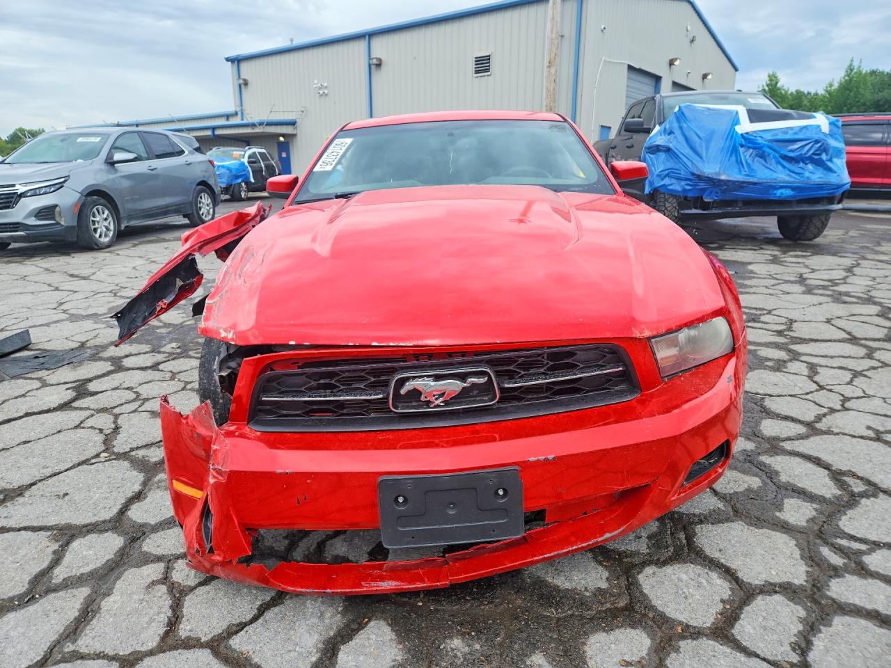 2012 Ford Mustang Красный vin: 1ZVBP8AM2C5237386