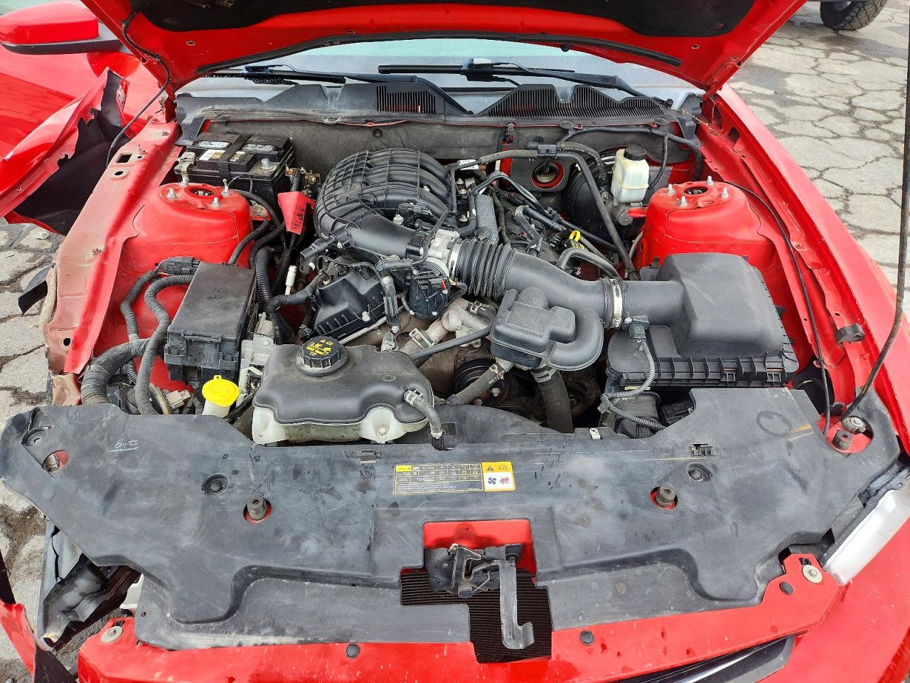 2012 Ford Mustang Красный vin: 1ZVBP8AM2C5237386
