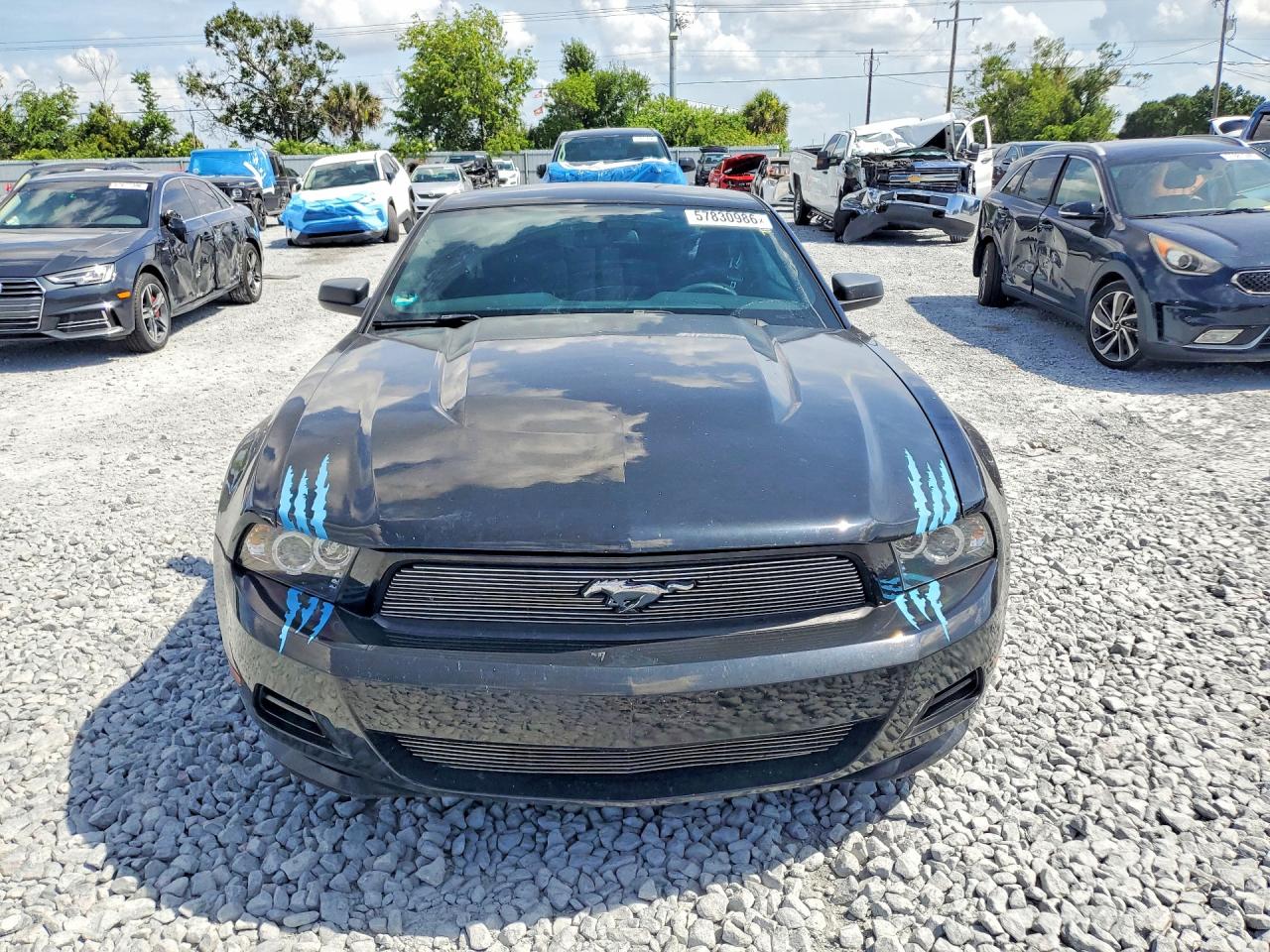 2012 Ford Mustang Black vin: 1ZVBP8AM2C5266810