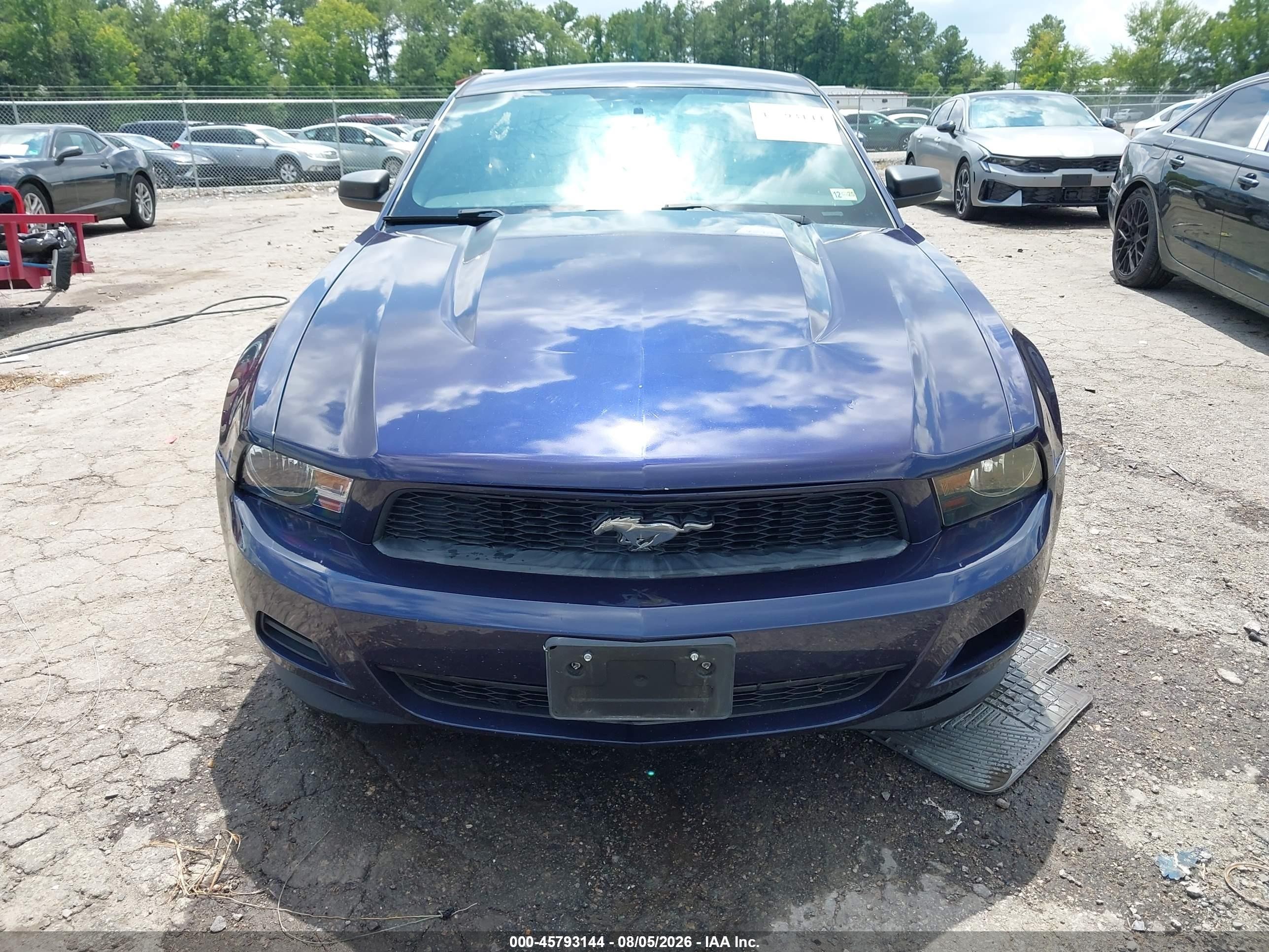 2012 Ford Mustang V6 Purple vin: 1ZVBP8AM2C5271957