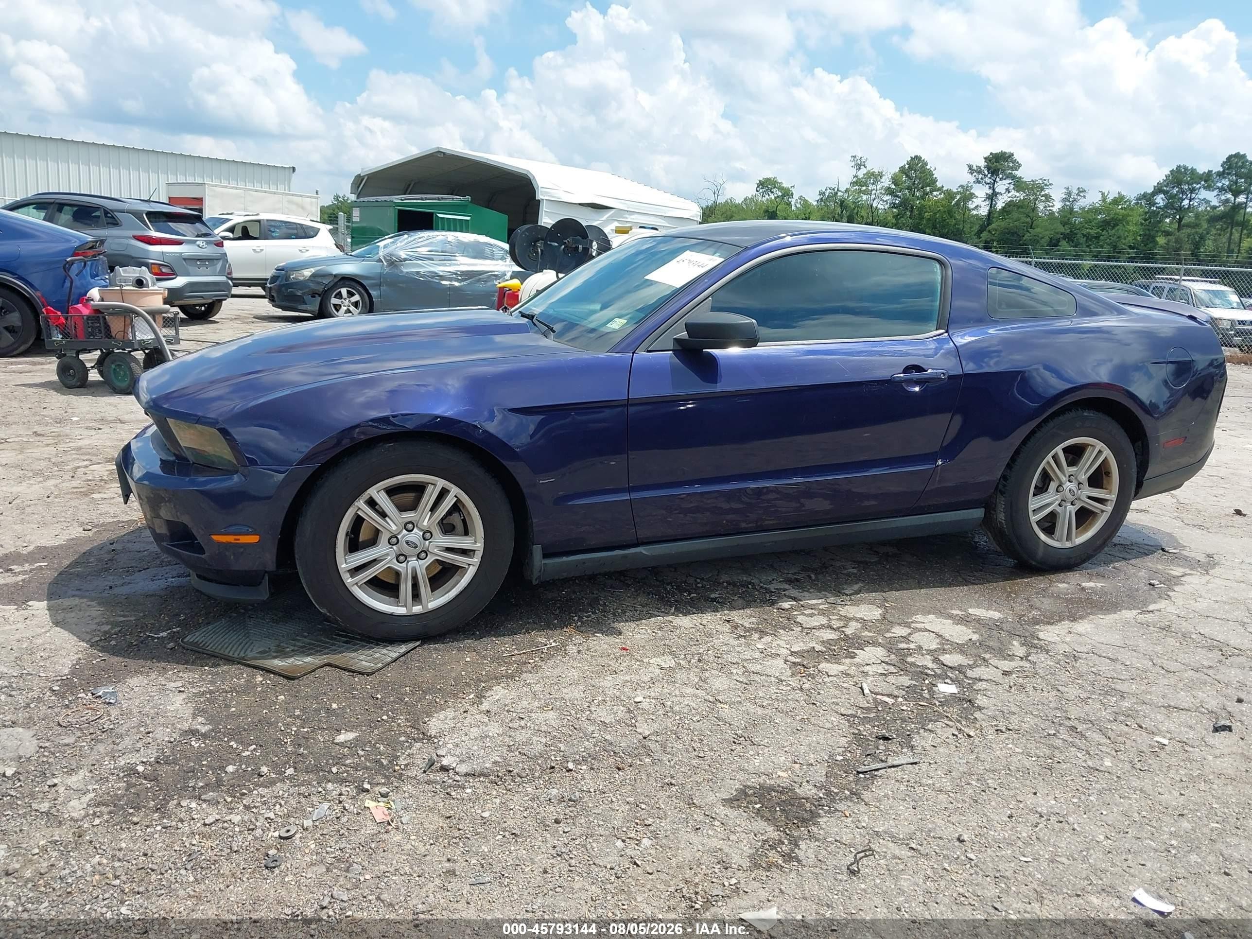 2012 Ford Mustang V6 Purple vin: 1ZVBP8AM2C5271957