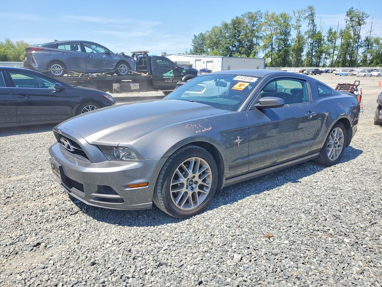 2013 Ford Mustang Gray vin: 1ZVBP8AM2D5227121
