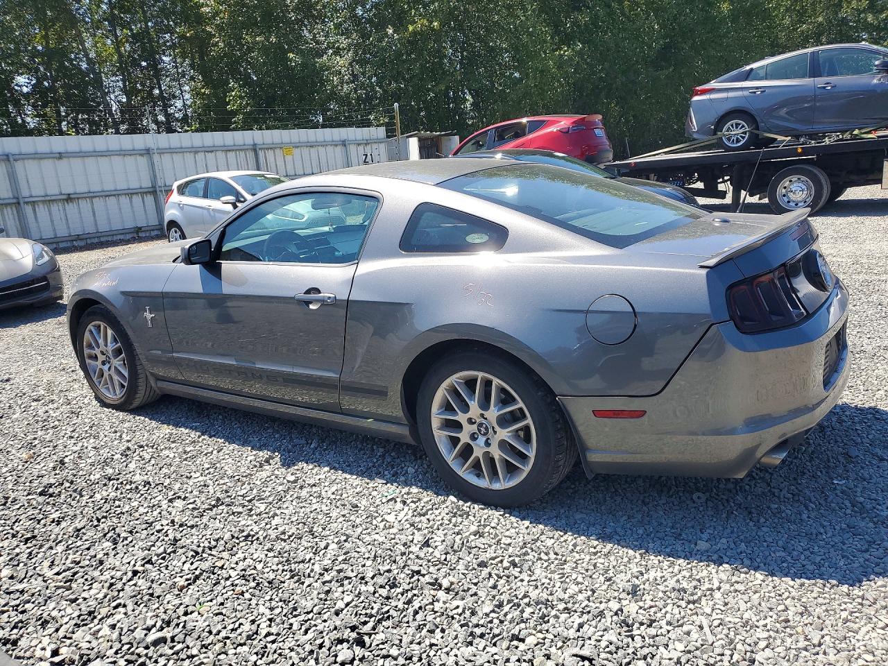 2013 Ford Mustang Gray vin: 1ZVBP8AM2D5227121