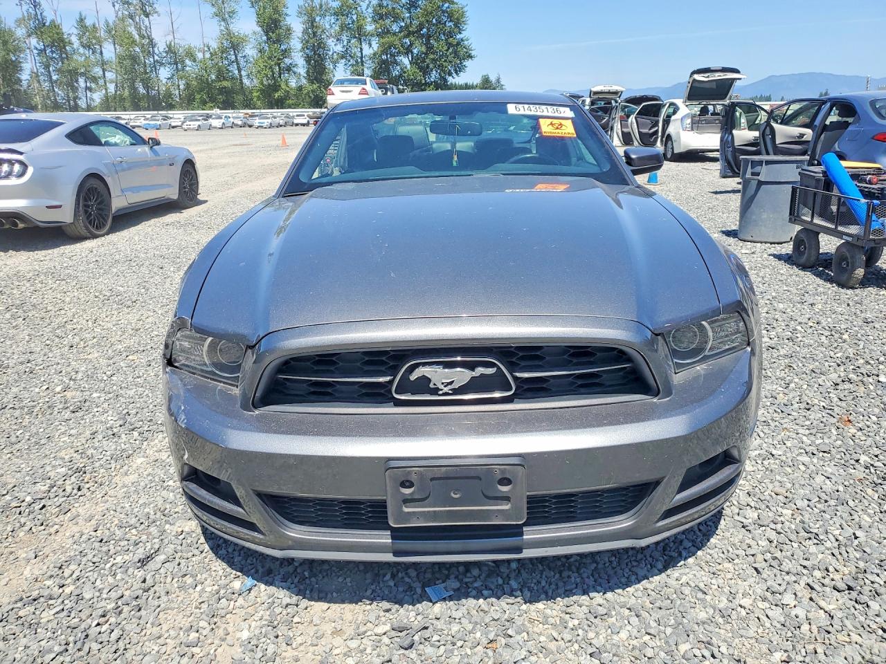 2013 Ford Mustang Gray vin: 1ZVBP8AM2D5227121