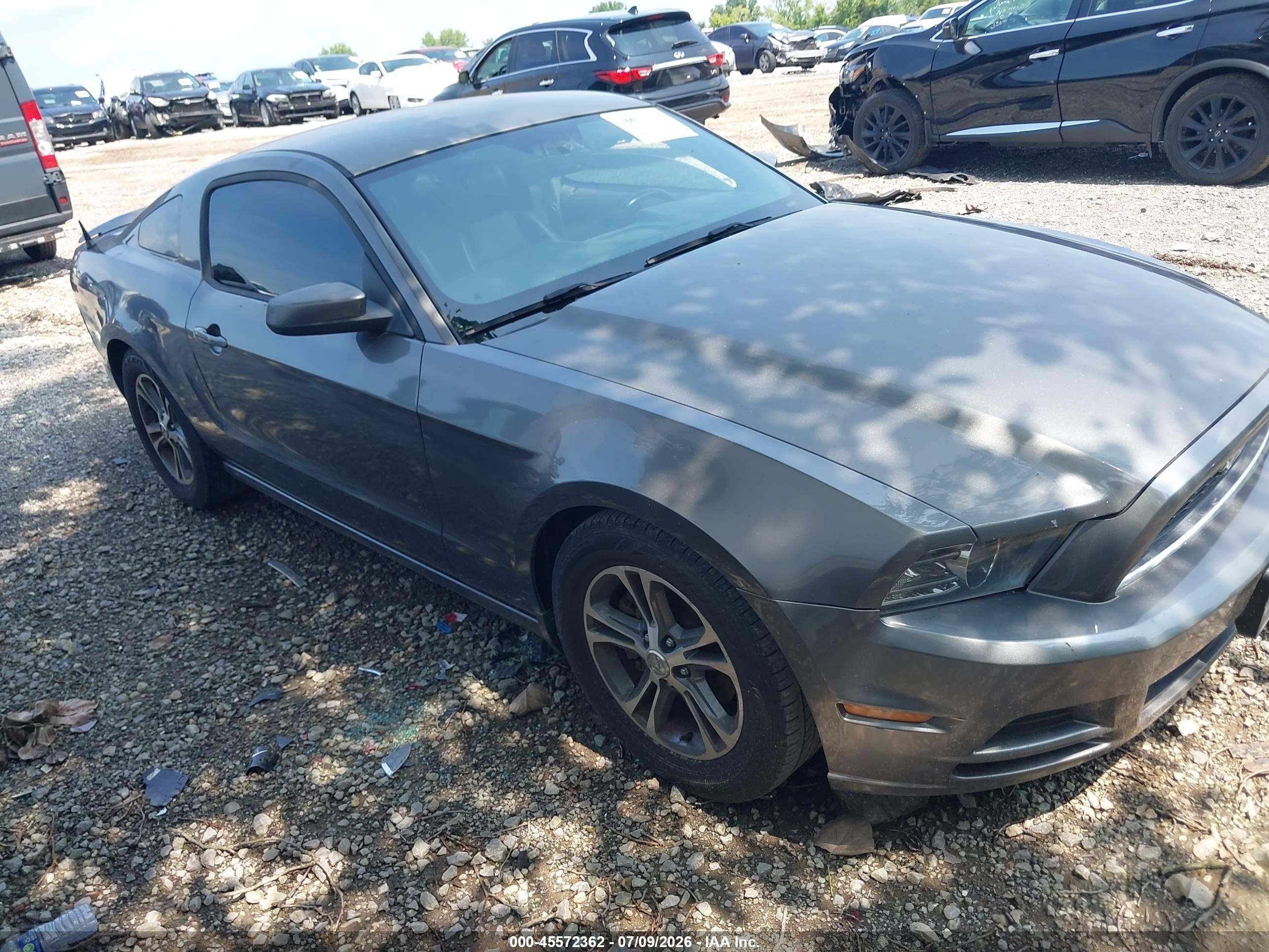 2013 Ford Mustang V6 Premium Gray vin: 1ZVBP8AM2D5243786