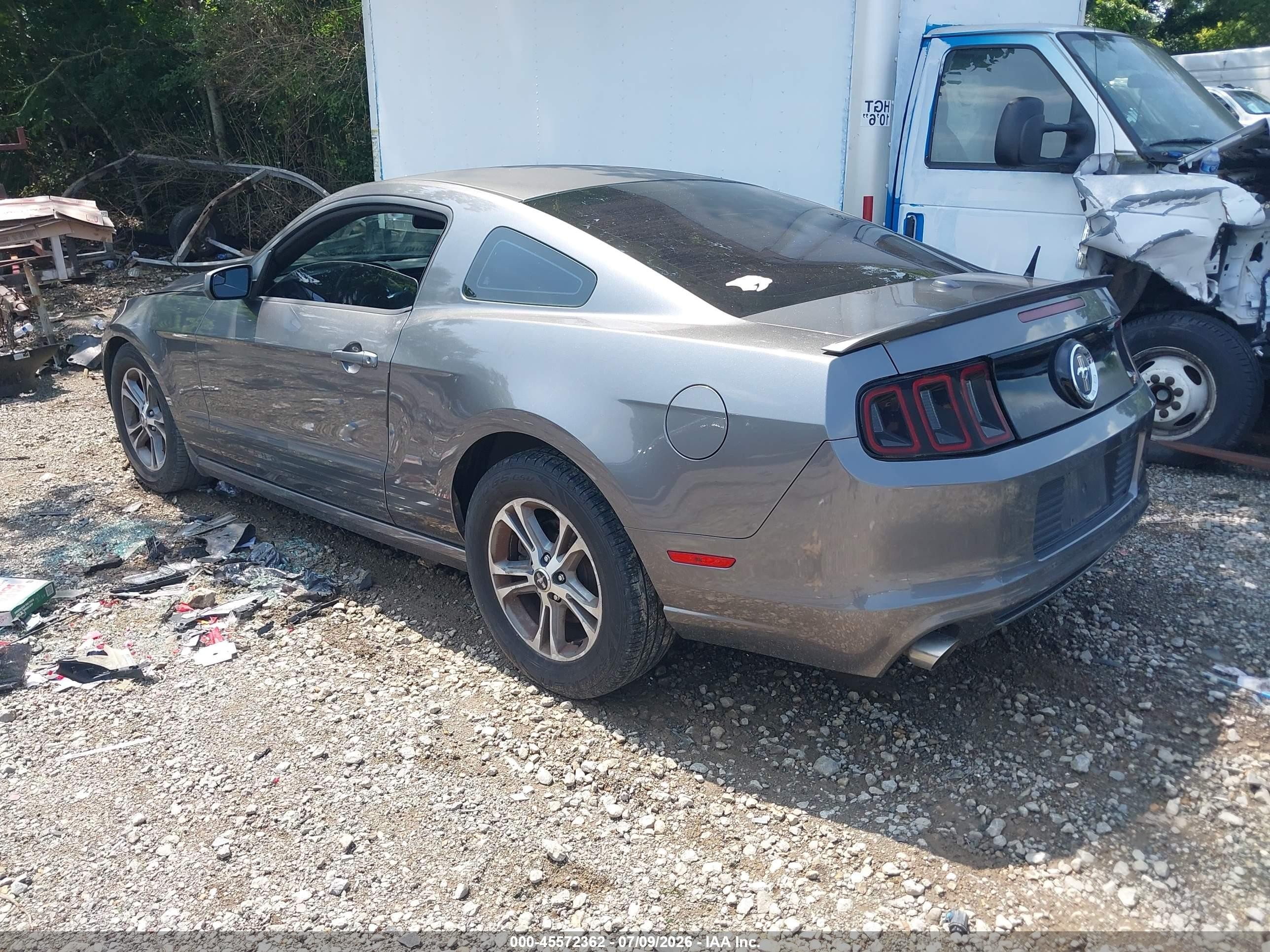 2013 Ford Mustang V6 Premium Gray vin: 1ZVBP8AM2D5243786