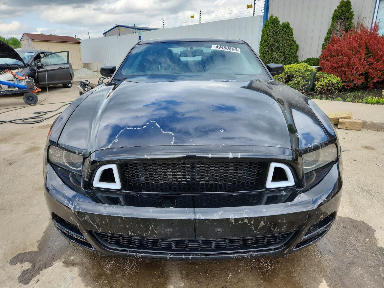 2013 Ford Mustang Black vin: 1ZVBP8AM2D5252732