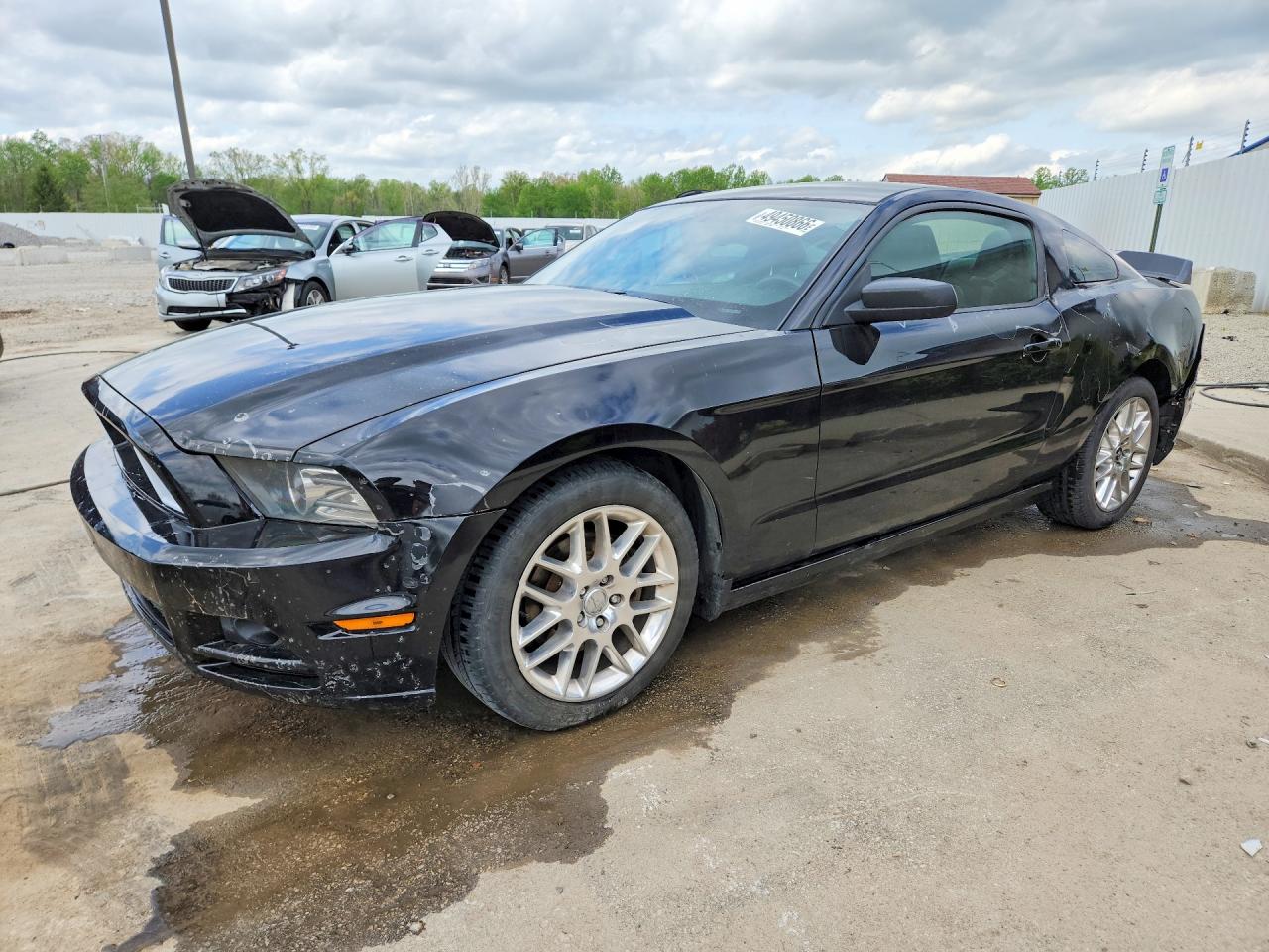 2013 Ford Mustang Black vin: 1ZVBP8AM2D5252732