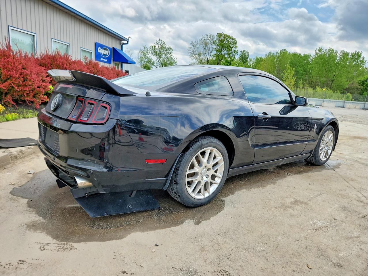2013 Ford Mustang Black vin: 1ZVBP8AM2D5252732