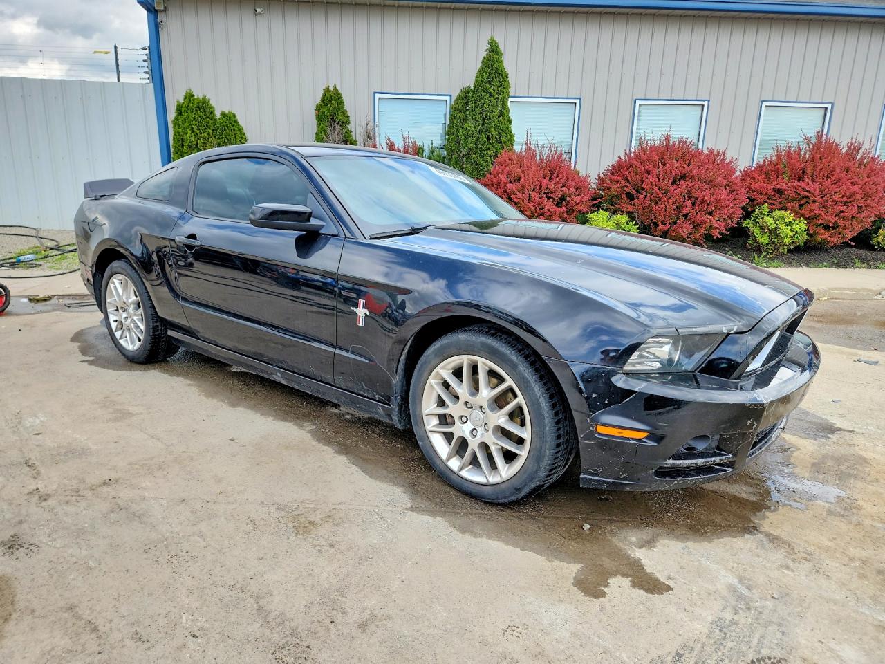 2013 Ford Mustang Black vin: 1ZVBP8AM2D5252732