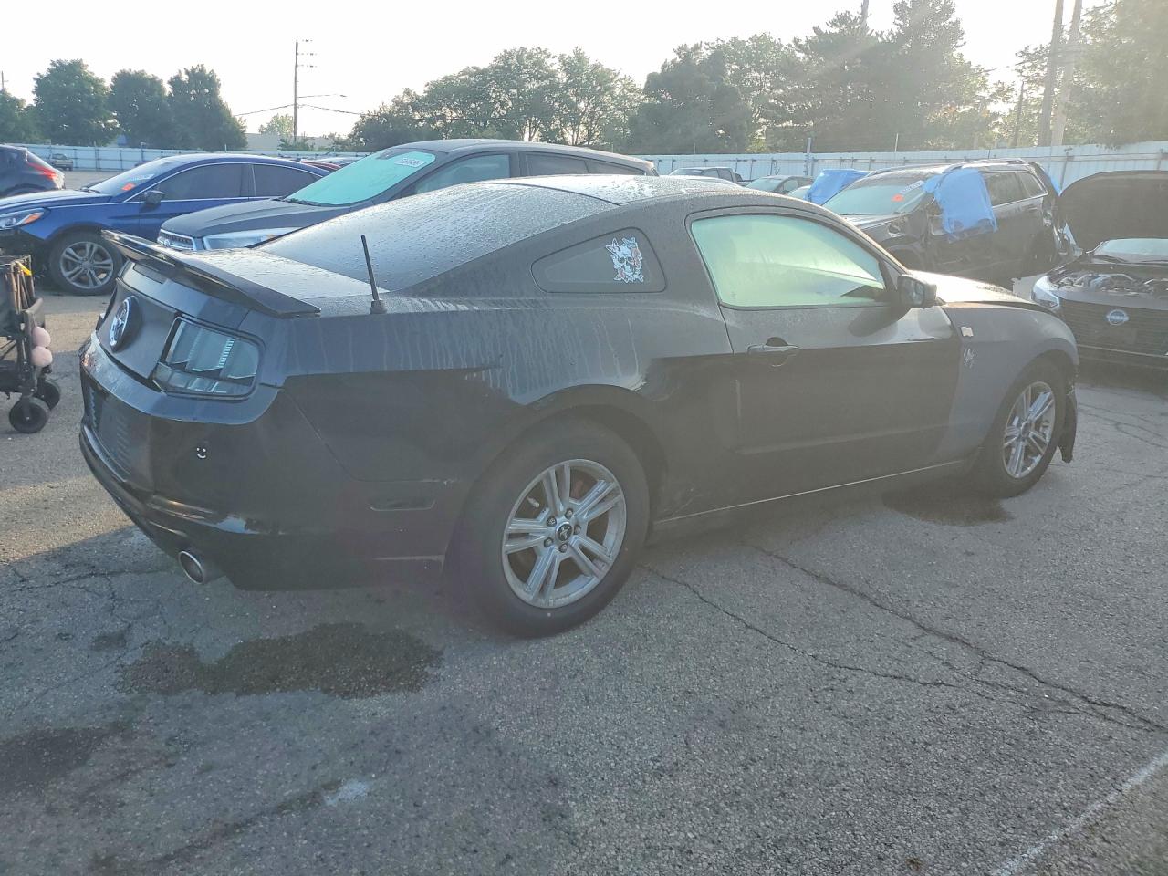 2013 Ford Mustang Black vin: 1ZVBP8AM2D5263410