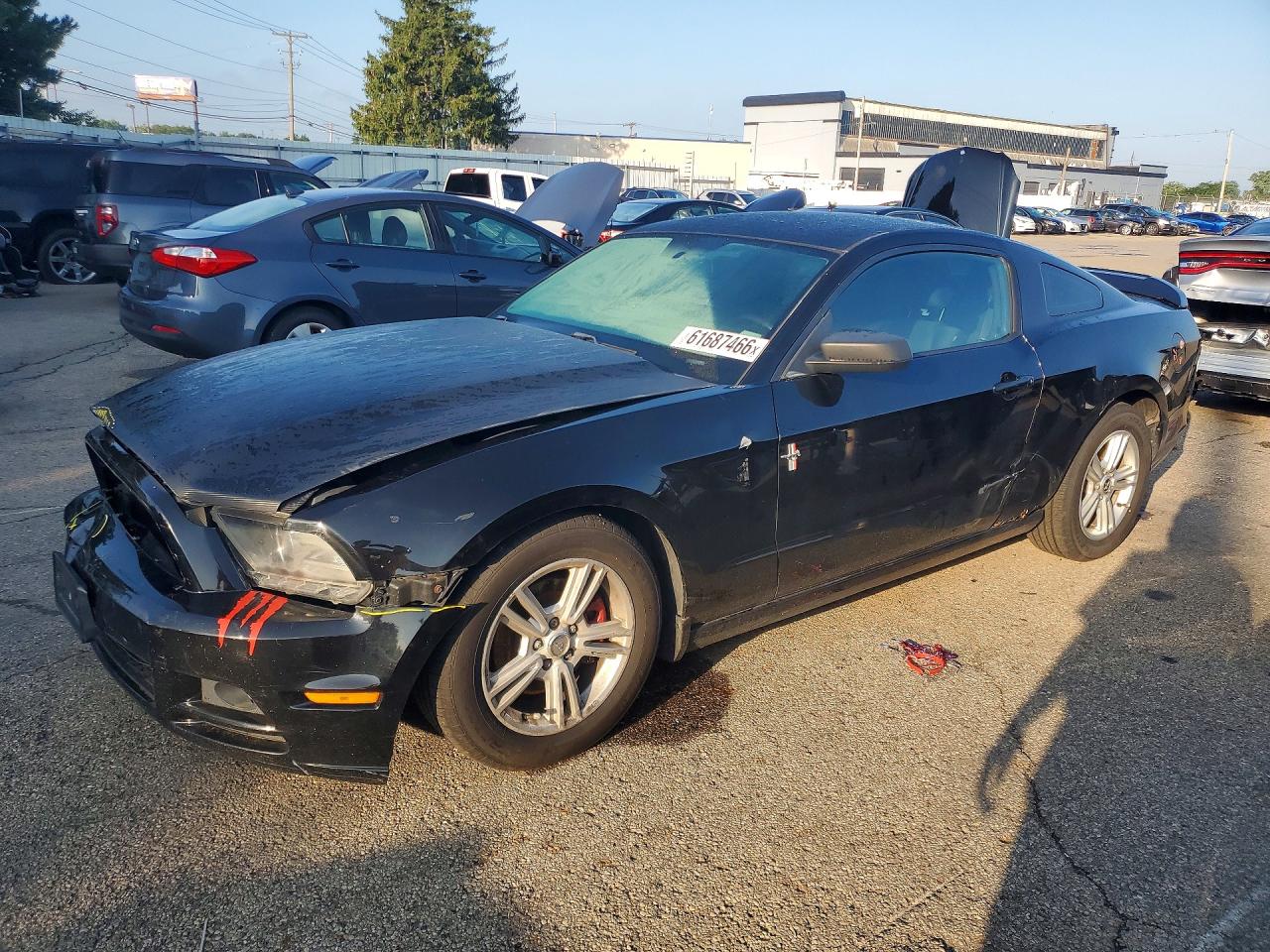 2013 Ford Mustang Черный vin: 1ZVBP8AM2D5263410