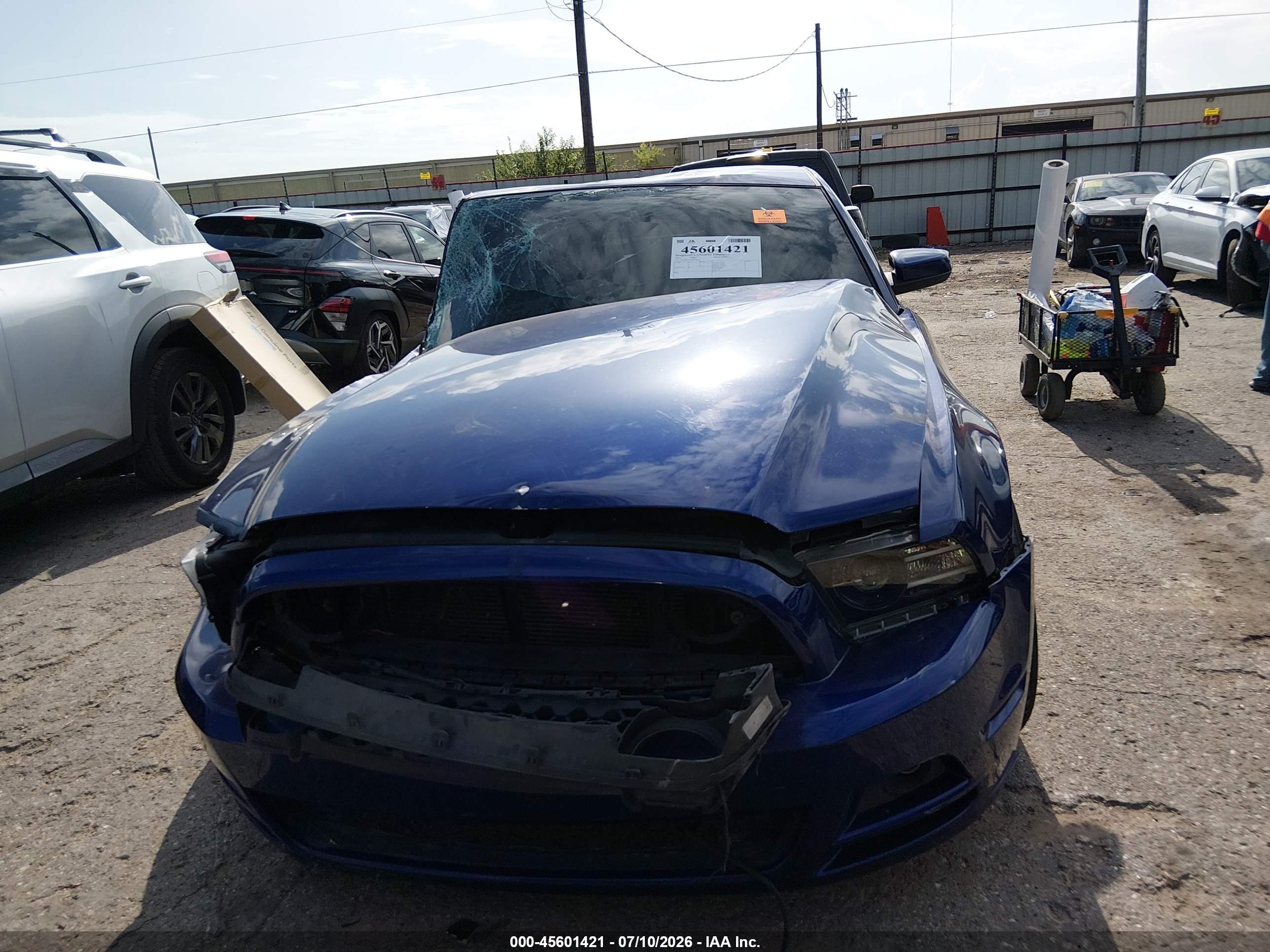 2013 Ford Mustang V6 Premium Blue vin: 1ZVBP8AM2D5274472