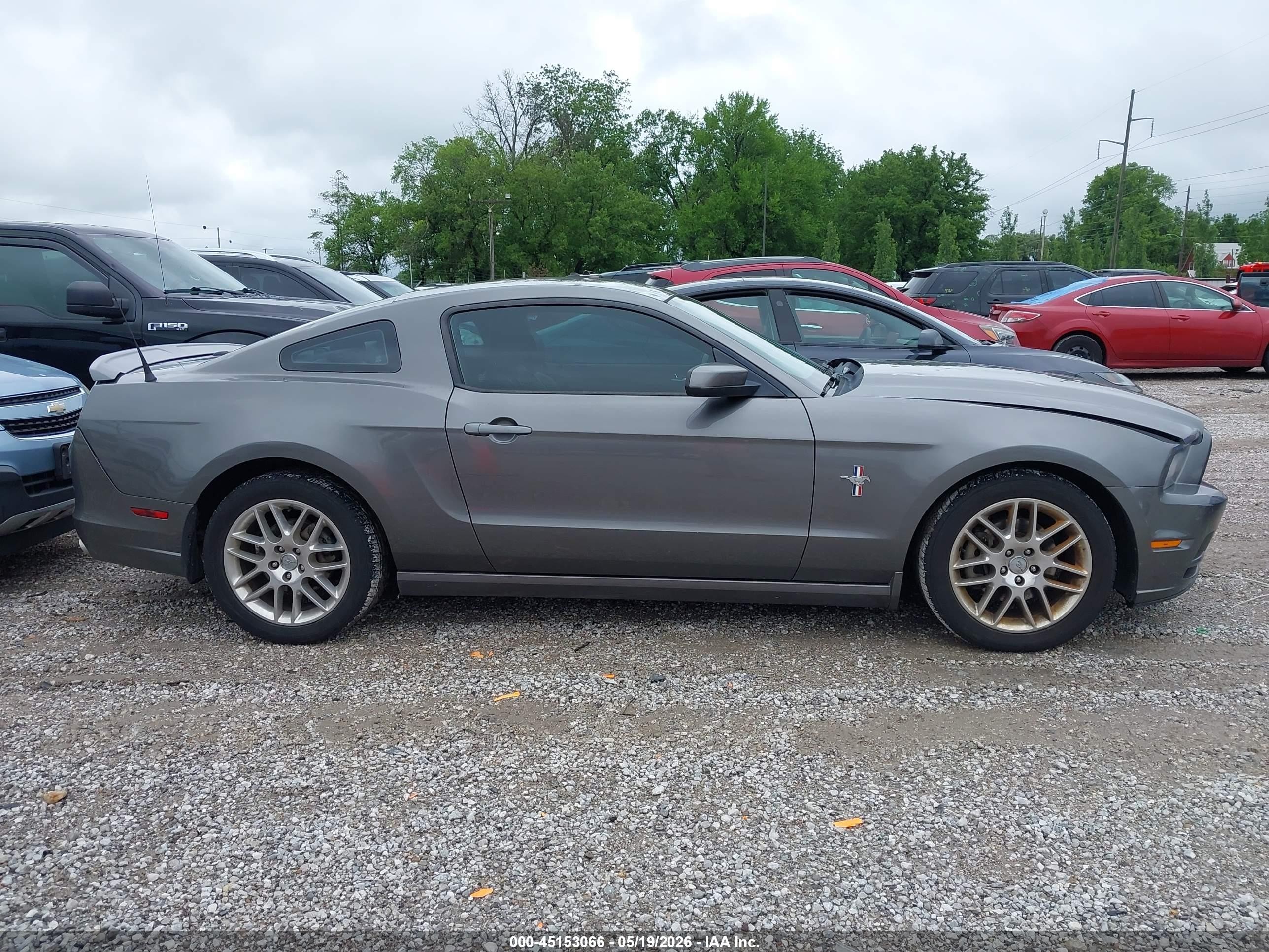 2014 Ford Mustang V6 Premium Gray vin: 1ZVBP8AM2E5218808
