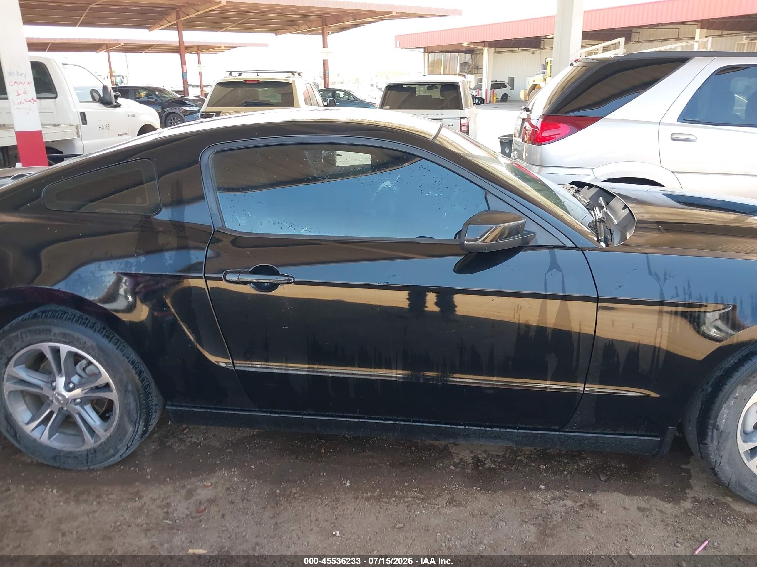 2014 Ford Mustang V6 Premium Black vin: 1ZVBP8AM2E5260377