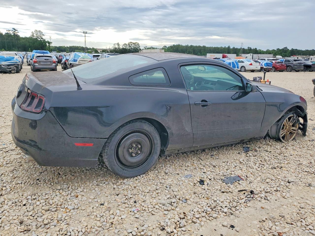 2014 Ford Mustang Black vin: 1ZVBP8AM2E5268432