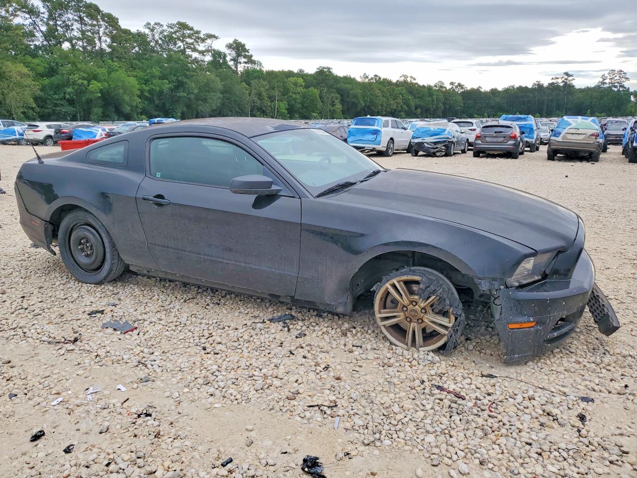 2014 Ford Mustang Black vin: 1ZVBP8AM2E5268432