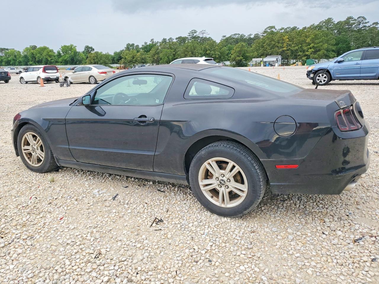 2014 Ford Mustang Black vin: 1ZVBP8AM2E5268432