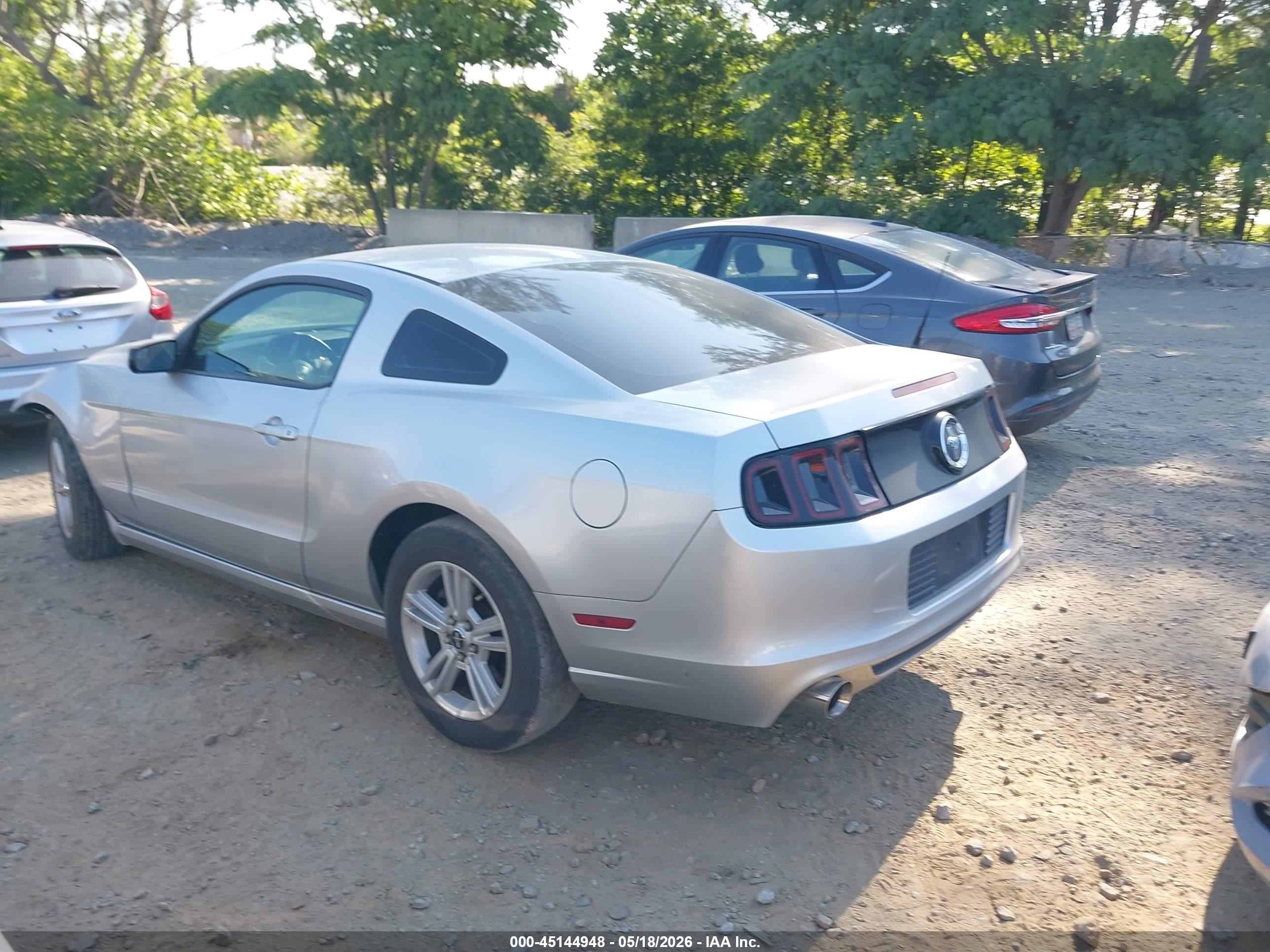 2014 Ford Mustang V6 Silver vin: 1ZVBP8AM2E5280192