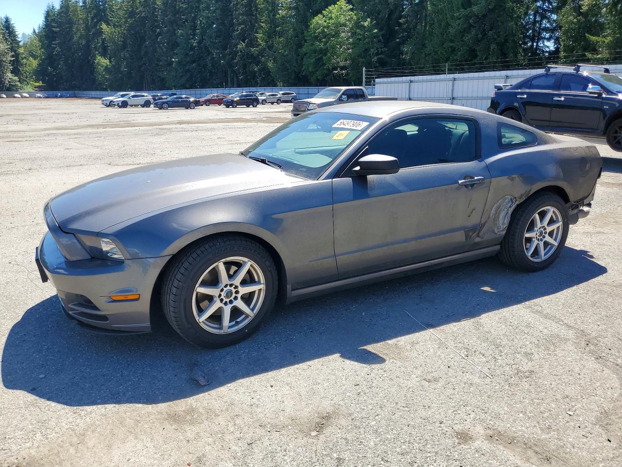 2014 Ford Mustang Gray vin: 1ZVBP8AM2E5281567