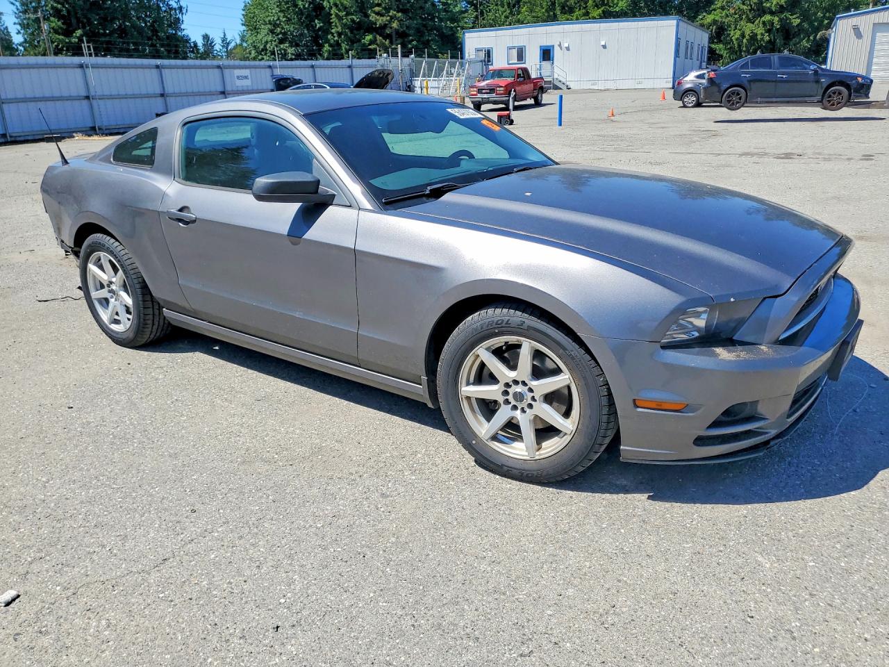 2014 Ford Mustang Gray vin: 1ZVBP8AM2E5281567