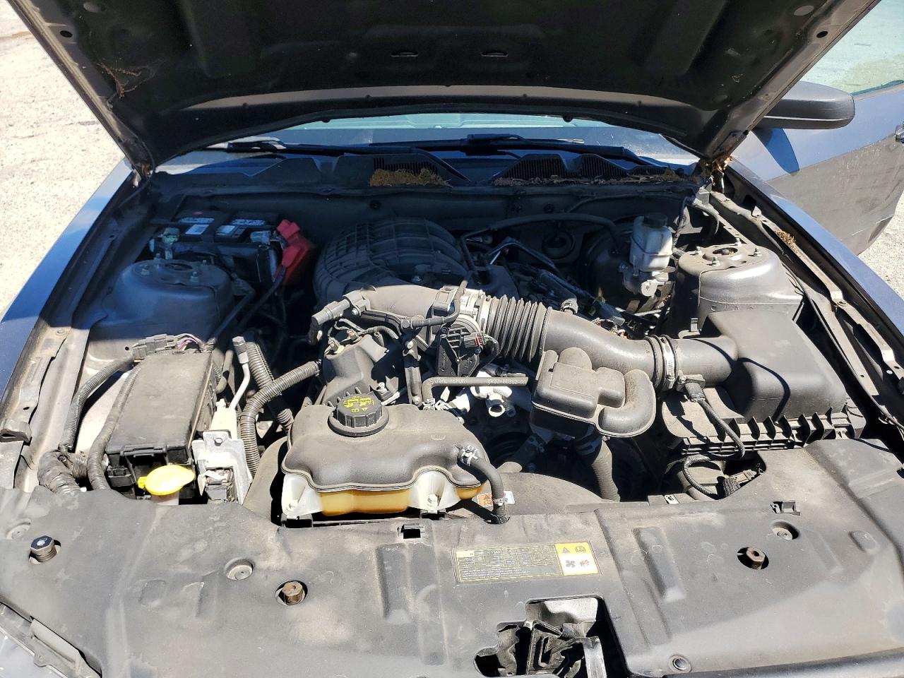 2014 Ford Mustang Gray vin: 1ZVBP8AM2E5281567