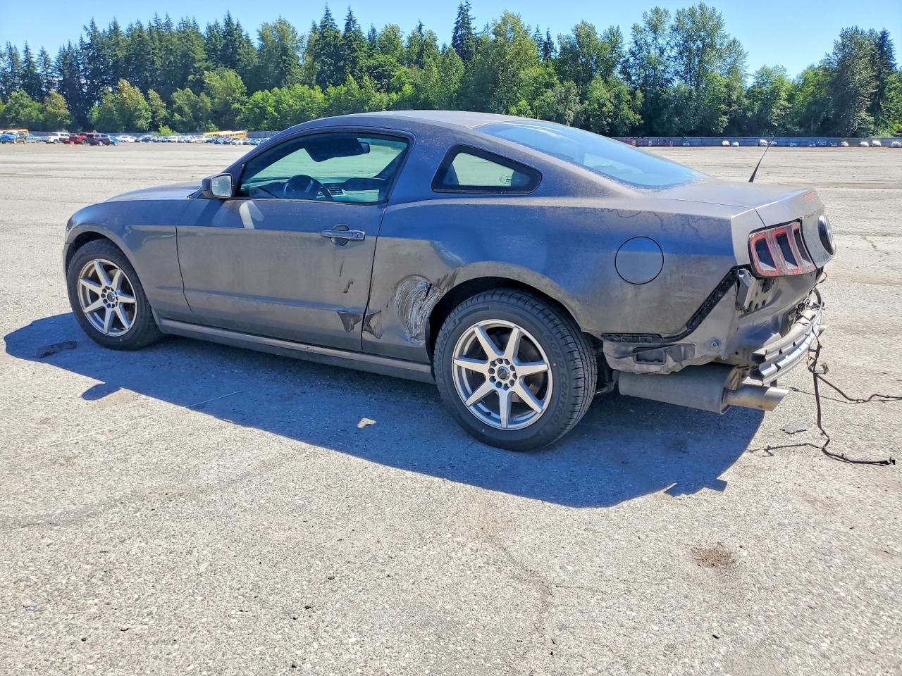 2014 Ford Mustang Gray vin: 1ZVBP8AM2E5281567
