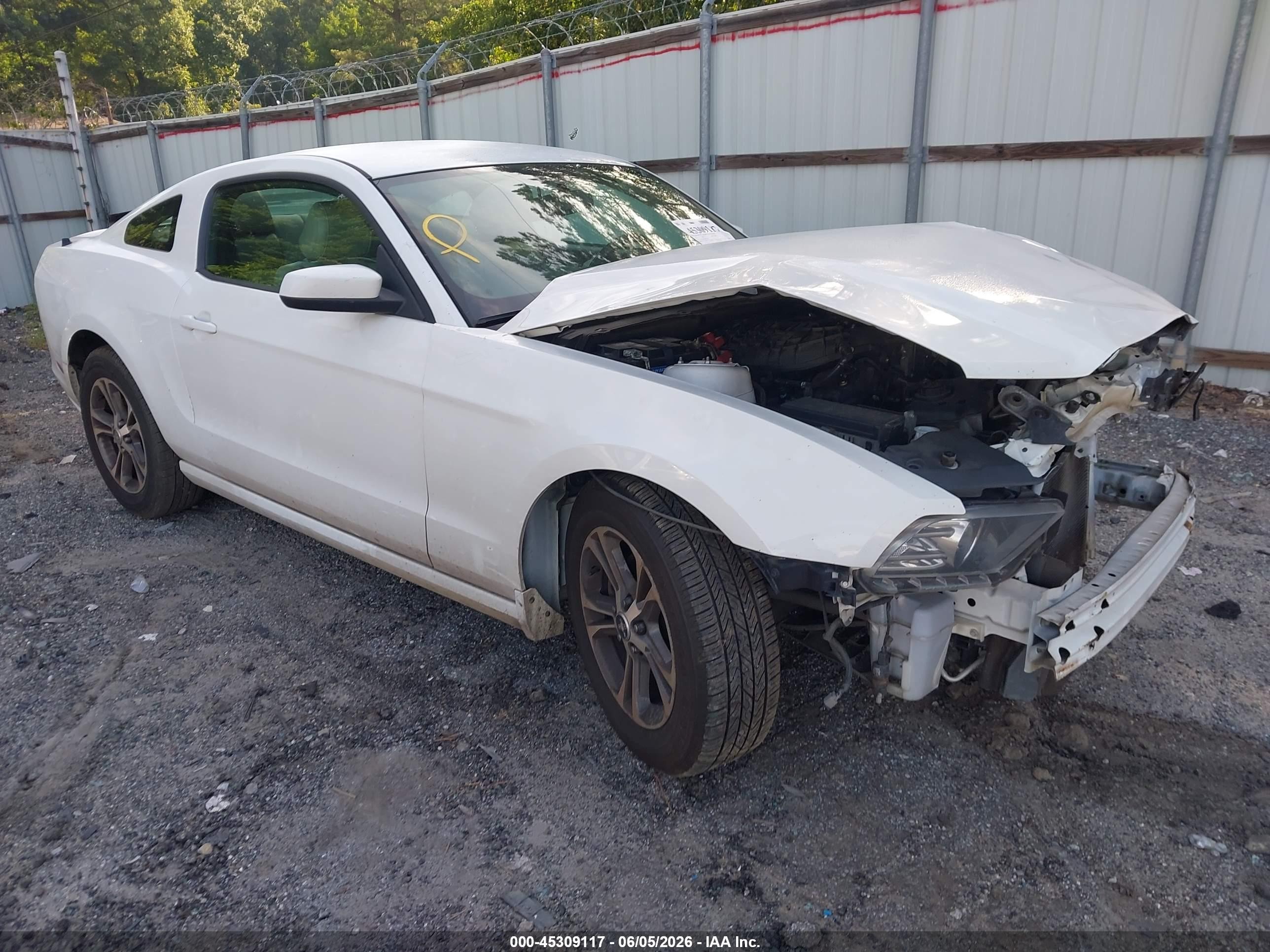 2014 Ford Mustang V6 Premium White vin: 1ZVBP8AM2E5292116