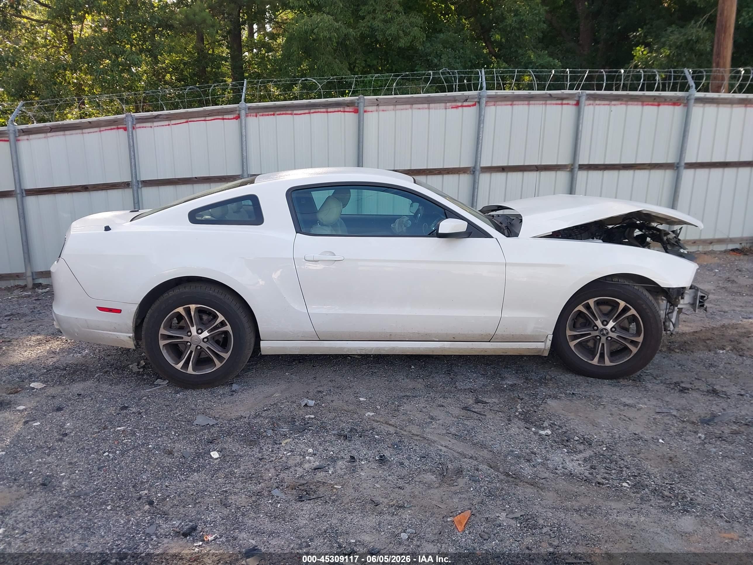 2014 Ford Mustang V6 Premium White vin: 1ZVBP8AM2E5292116