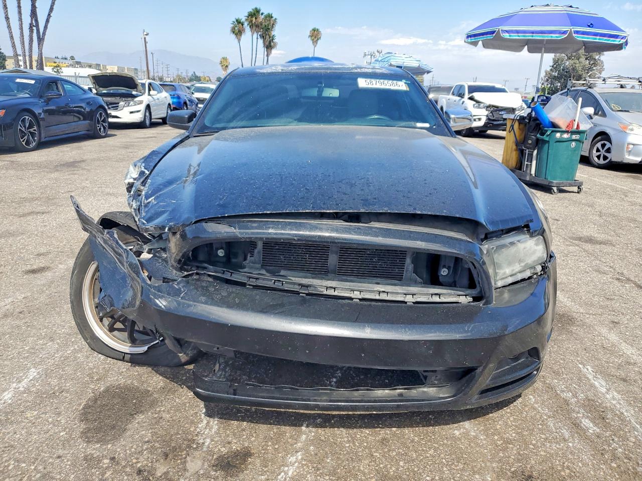 2014 Ford Mustang Black vin: 1ZVBP8AM2E5321517