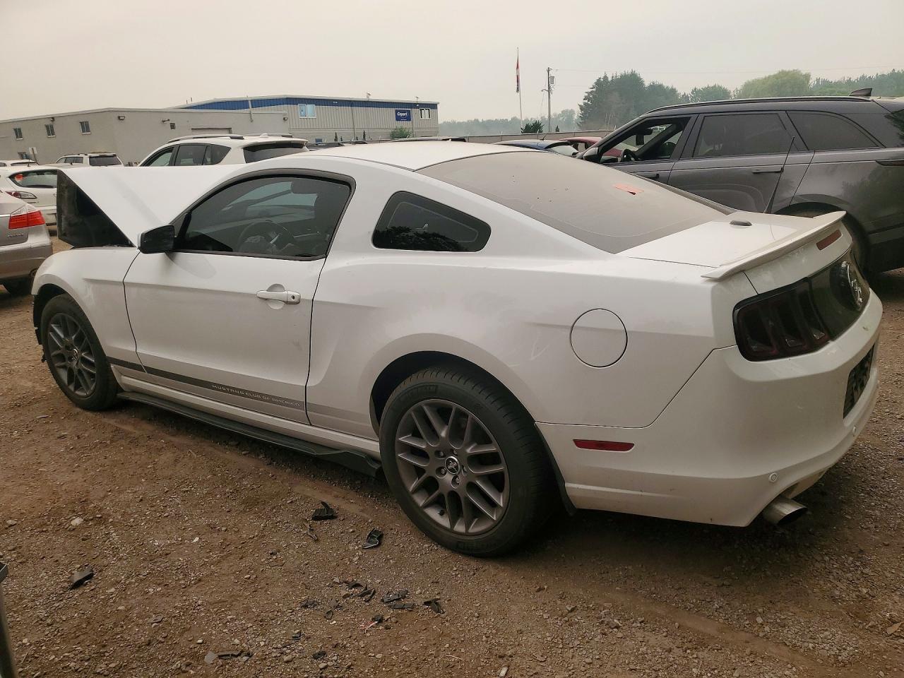 2014 Ford Mustang White vin: 1ZVBP8AM2E5323400