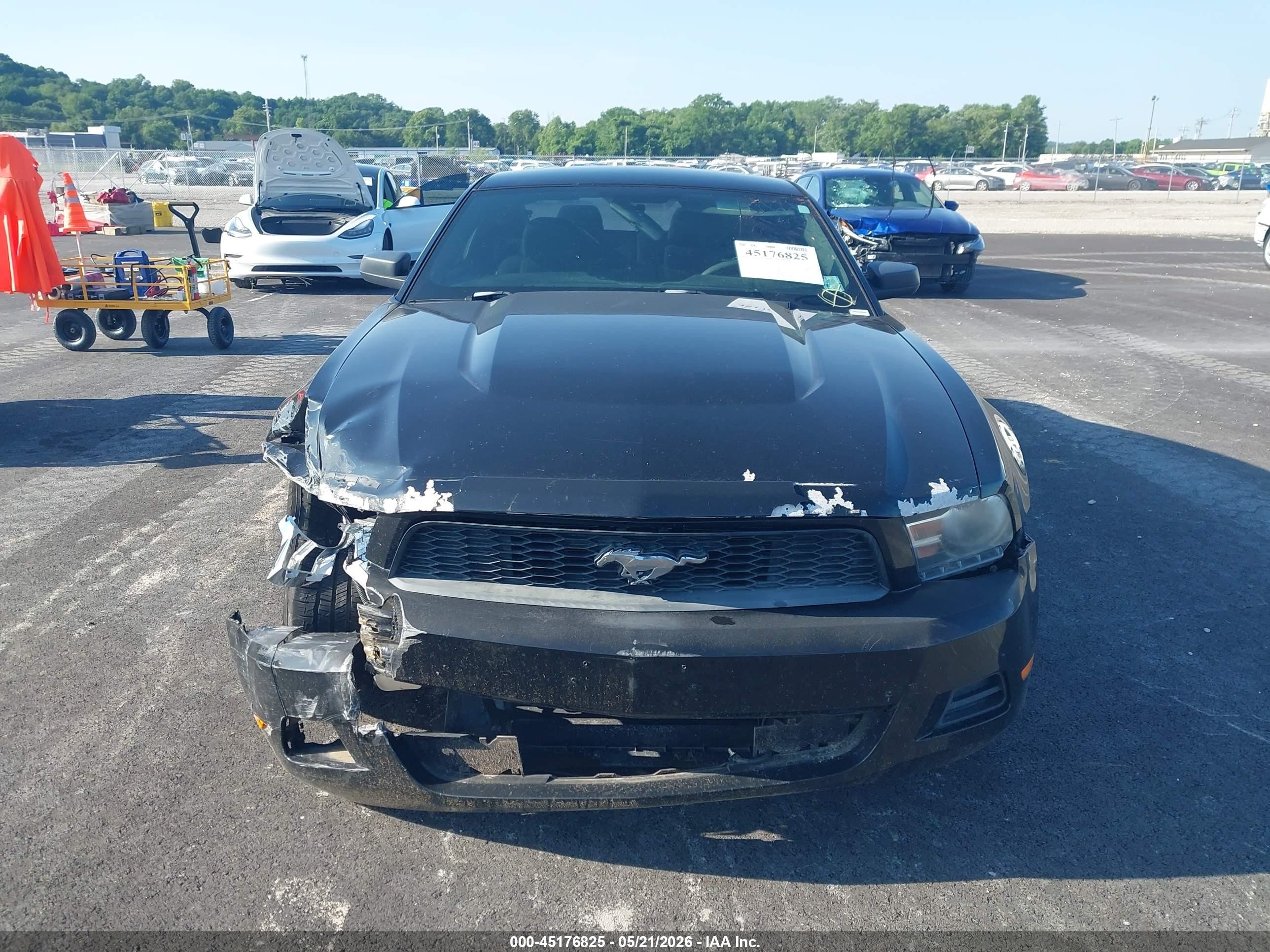 2011 Ford Mustang V6 Black vin: 1ZVBP8AM3B5114744