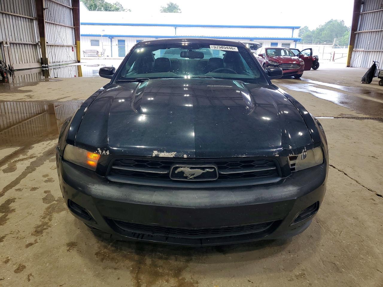 2011 Ford Mustang Black vin: 1ZVBP8AM3B5124139
