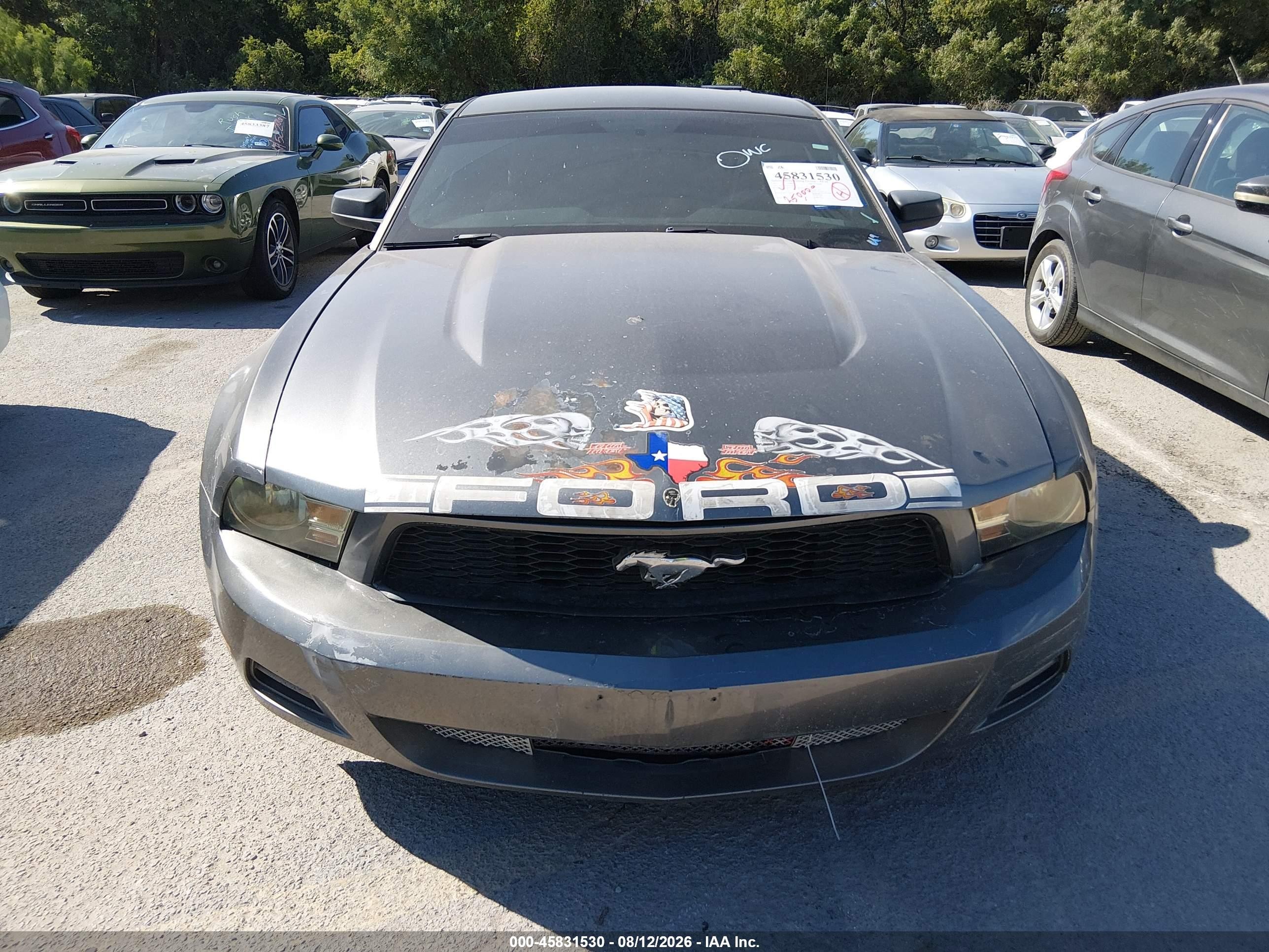 2012 Ford Mustang V6 Green vin: 1ZVBP8AM3C5288234