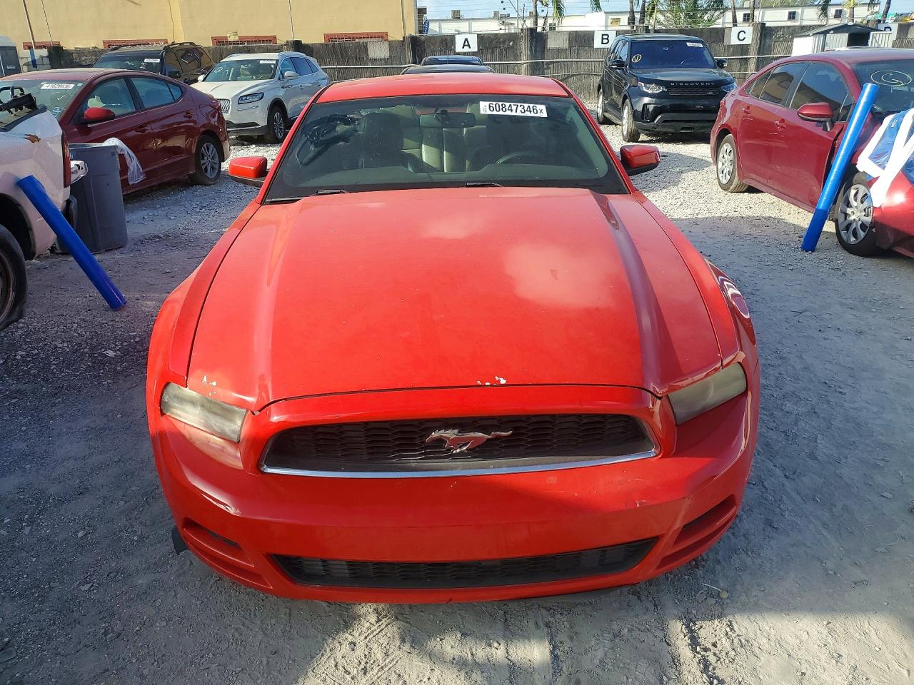 2013 Ford Mustang Red vin: 1ZVBP8AM3D5204298