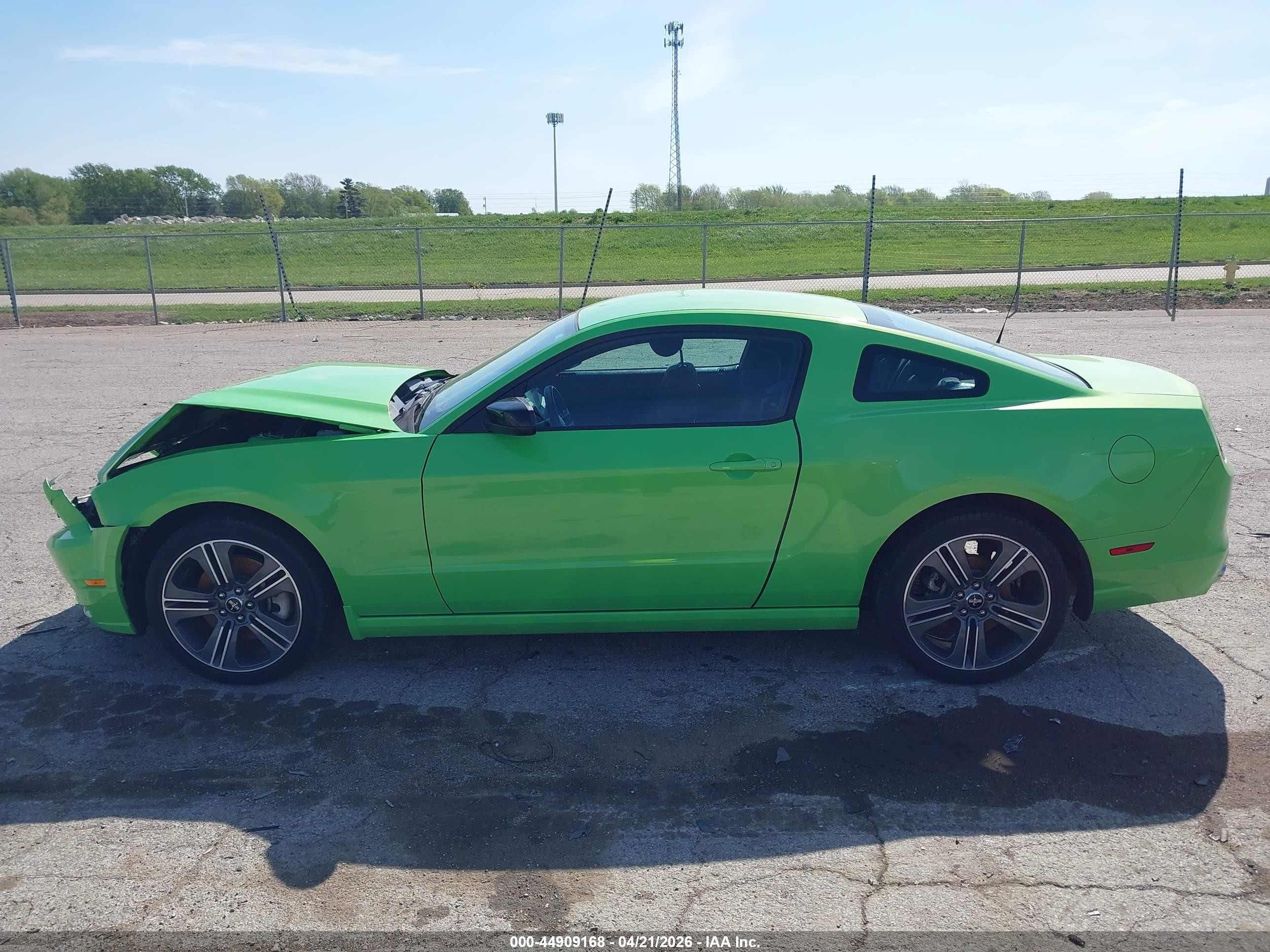 2013 Ford Mustang V6 Green vin: 1ZVBP8AM3D5232229
