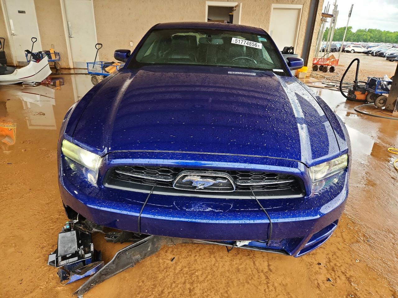 2013 Ford Mustang Blue vin: 1ZVBP8AM3D5235230