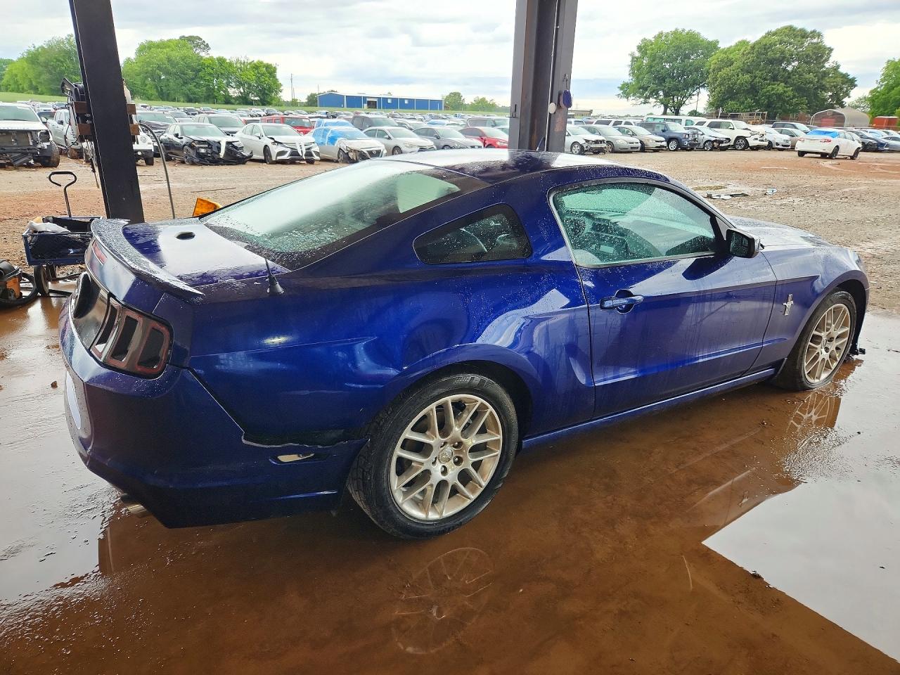 2013 Ford Mustang Blue vin: 1ZVBP8AM3D5235230