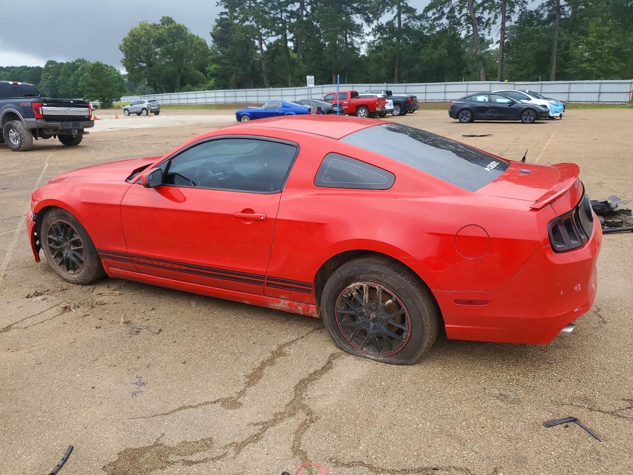 2013 Ford Mustang Red vin: 1ZVBP8AM3D5239567