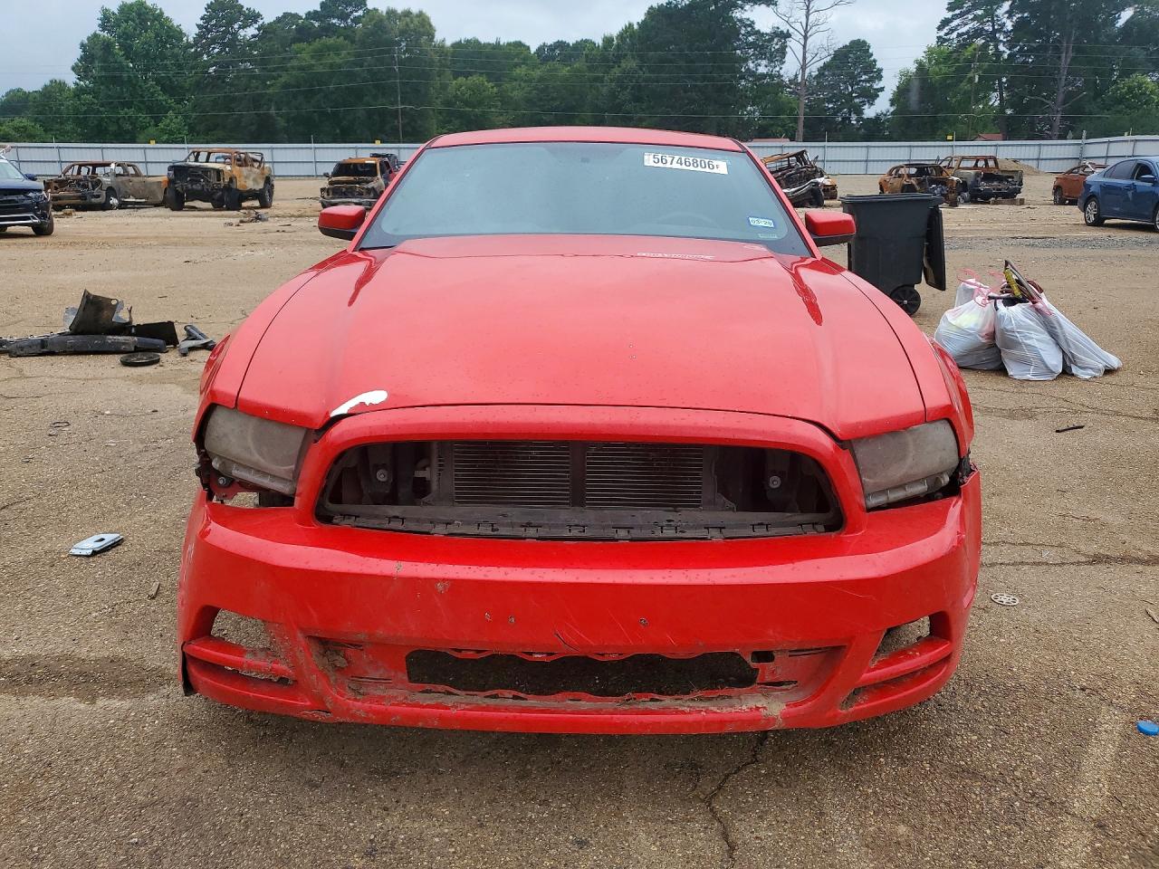 2013 Ford Mustang Red vin: 1ZVBP8AM3D5239567
