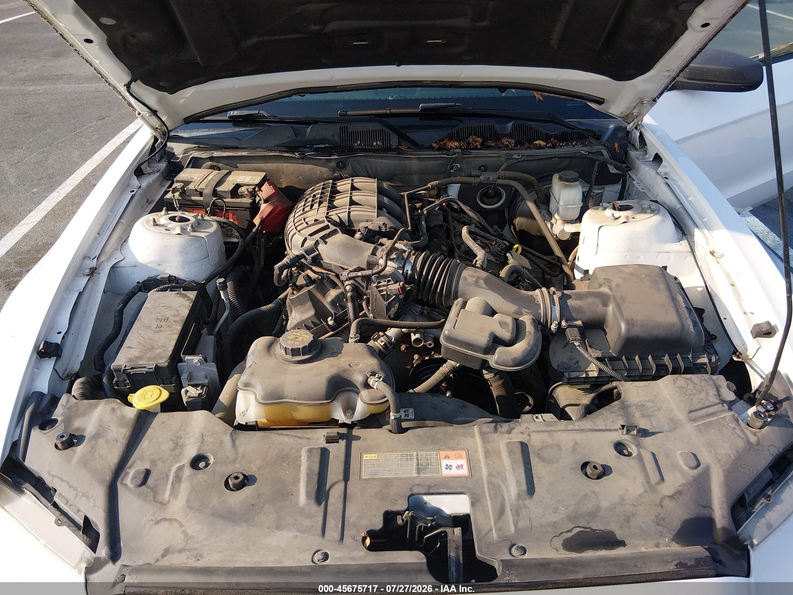 2013 Ford Mustang V6 Белый vin: 1ZVBP8AM3D5240492