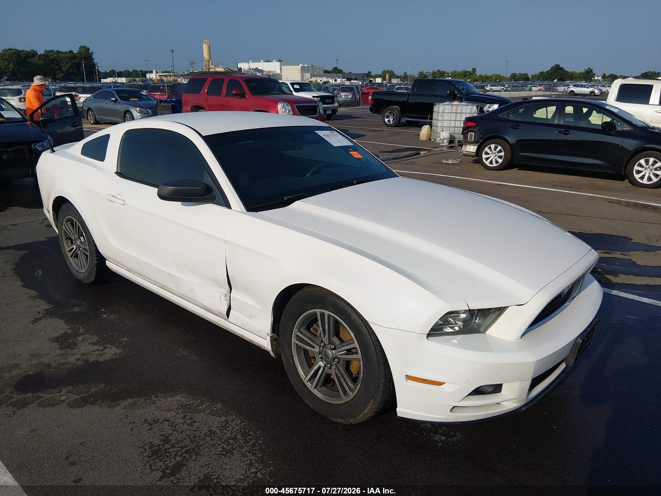 2013 Ford Mustang V6 Белый vin: 1ZVBP8AM3D5240492
