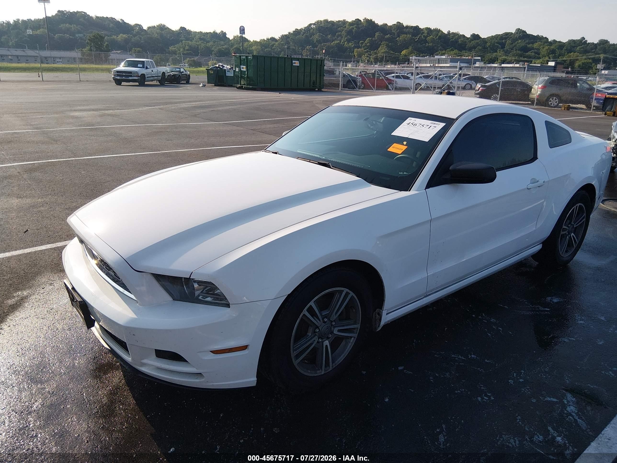 2013 Ford Mustang V6 Белый vin: 1ZVBP8AM3D5240492