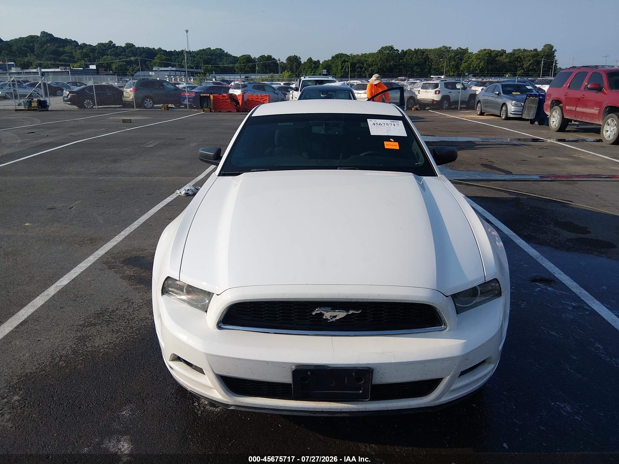 2013 Ford Mustang V6 Белый vin: 1ZVBP8AM3D5240492